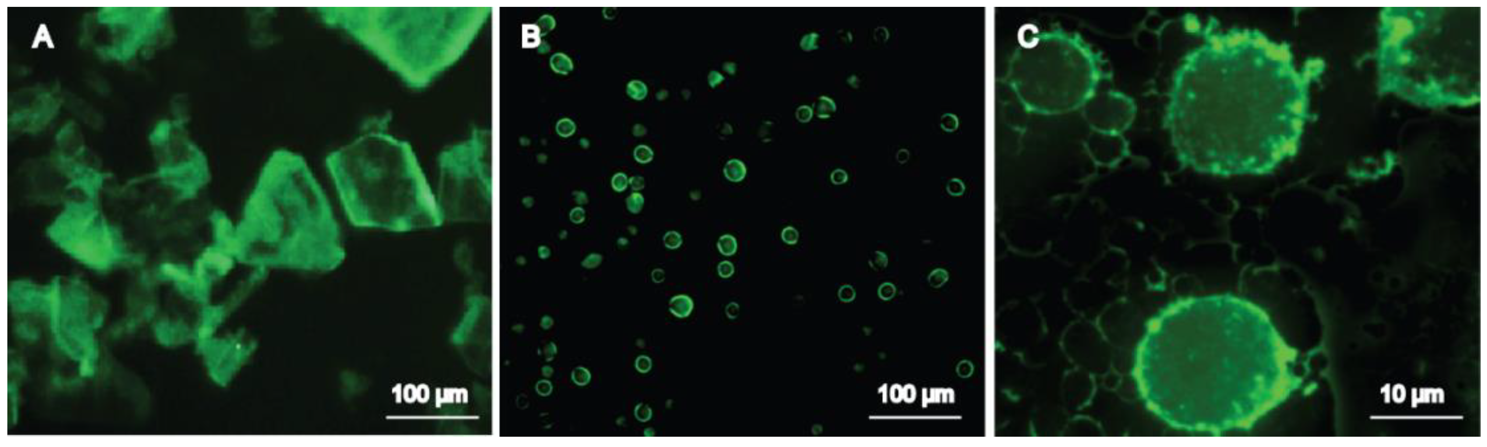 Pharmaceutics 10 00170 g007