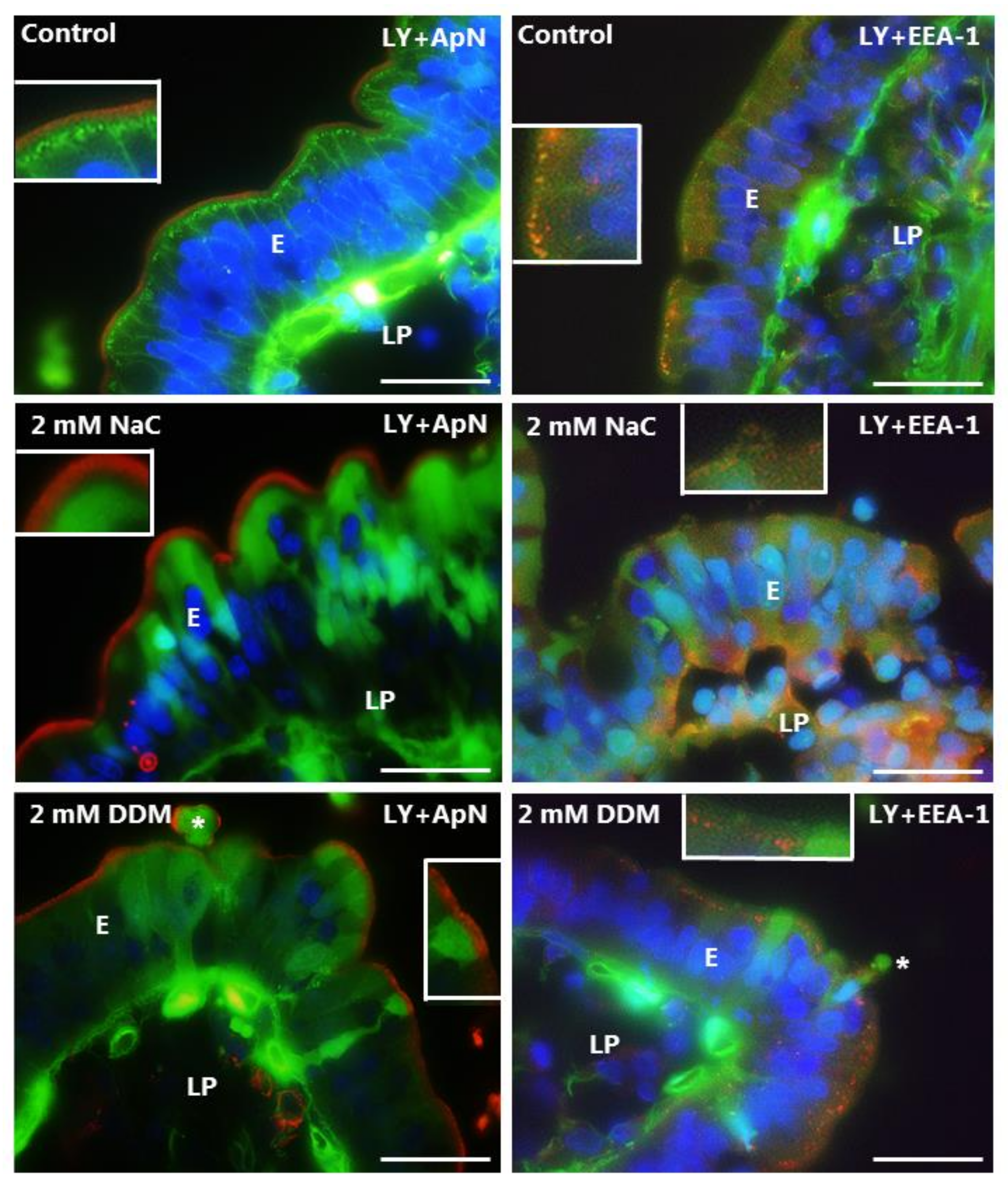 Pharmaceutics 10 00172 g005 Pharmaceutics 10 00172 g005