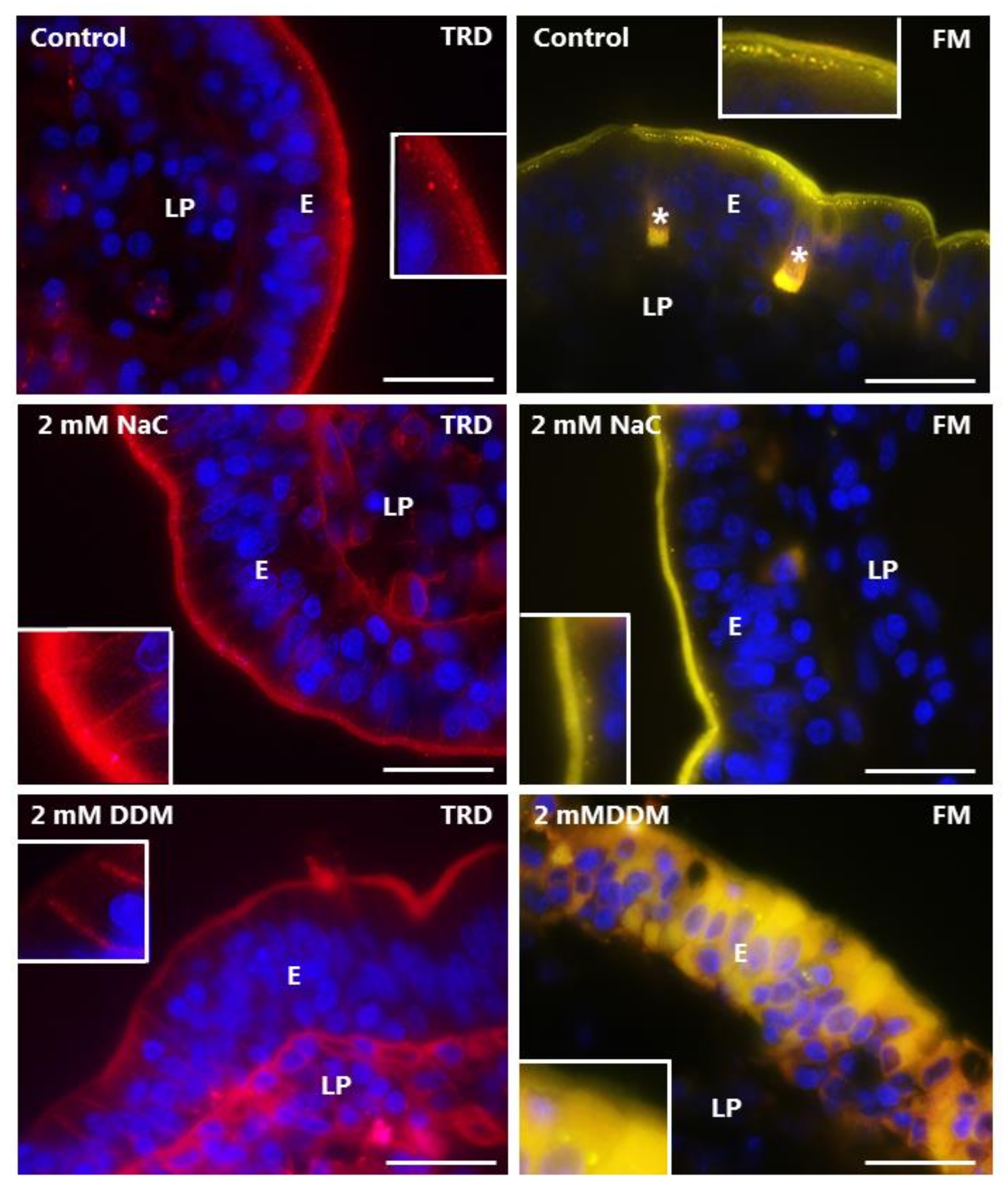 Pharmaceutics 10 00172 g007 Pharmaceutics 10 00172 g007