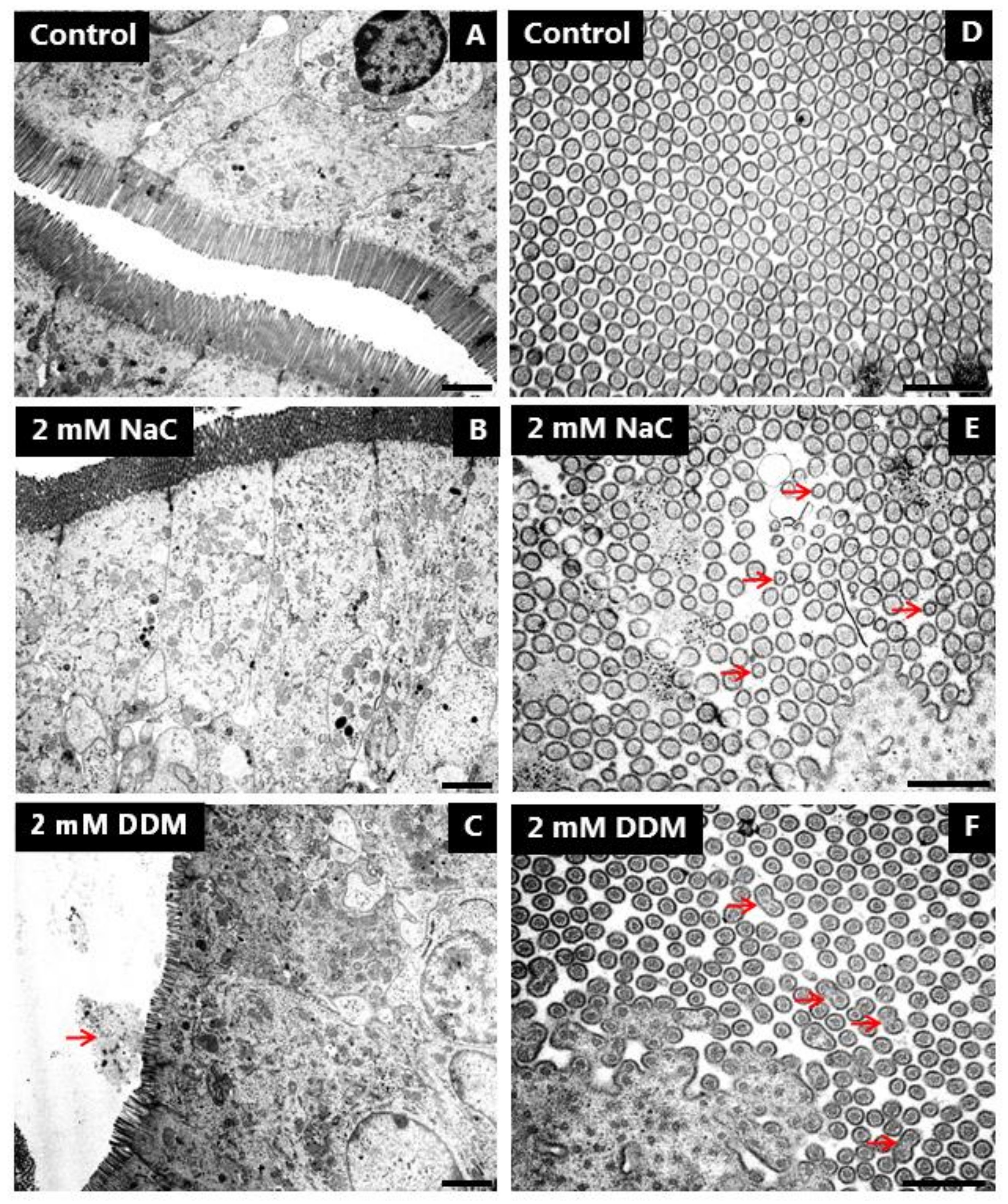 Pharmaceutics 10 00172 g008 Pharmaceutics 10 00172 g008