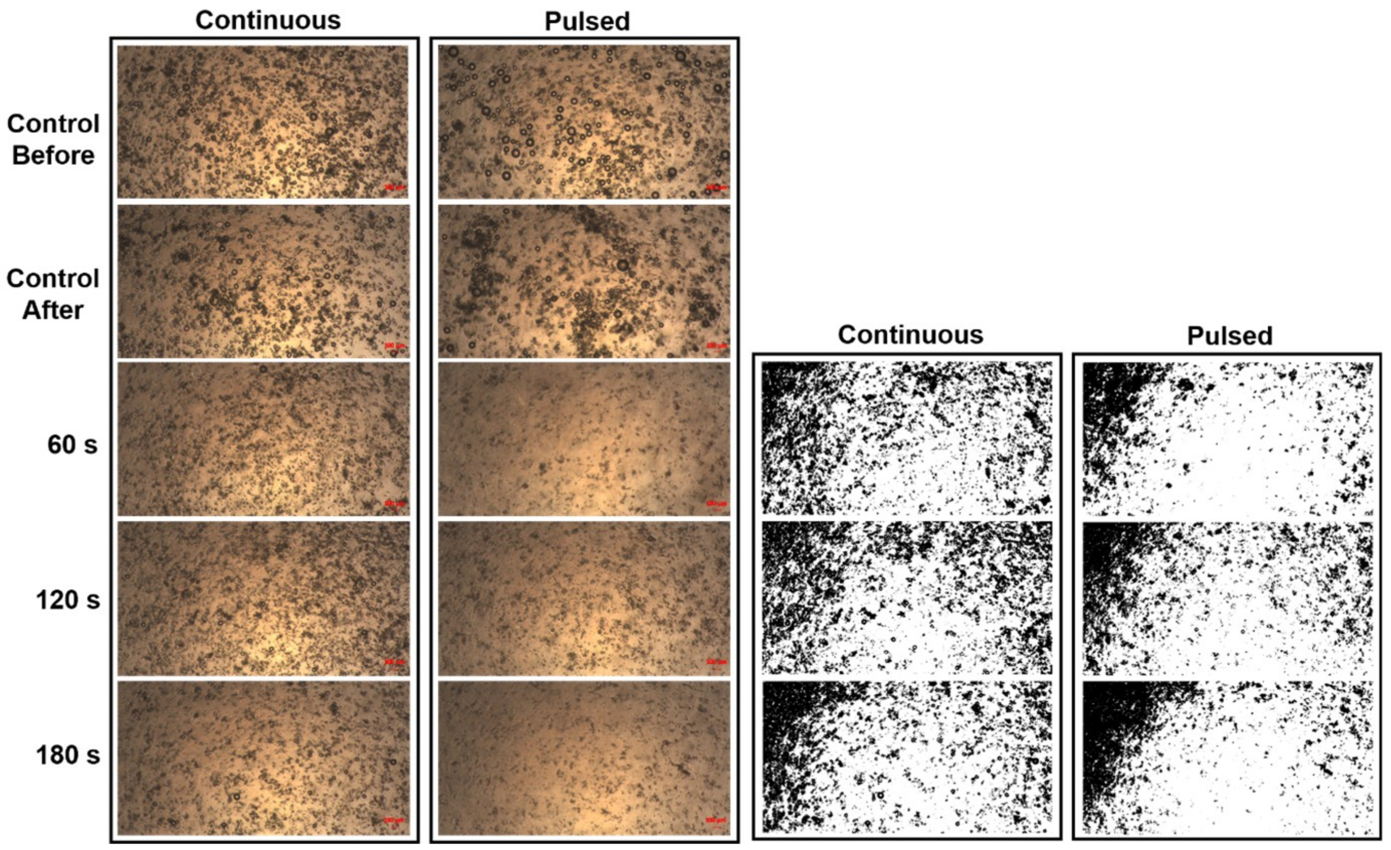 Pharmaceutics 10 00175 g002