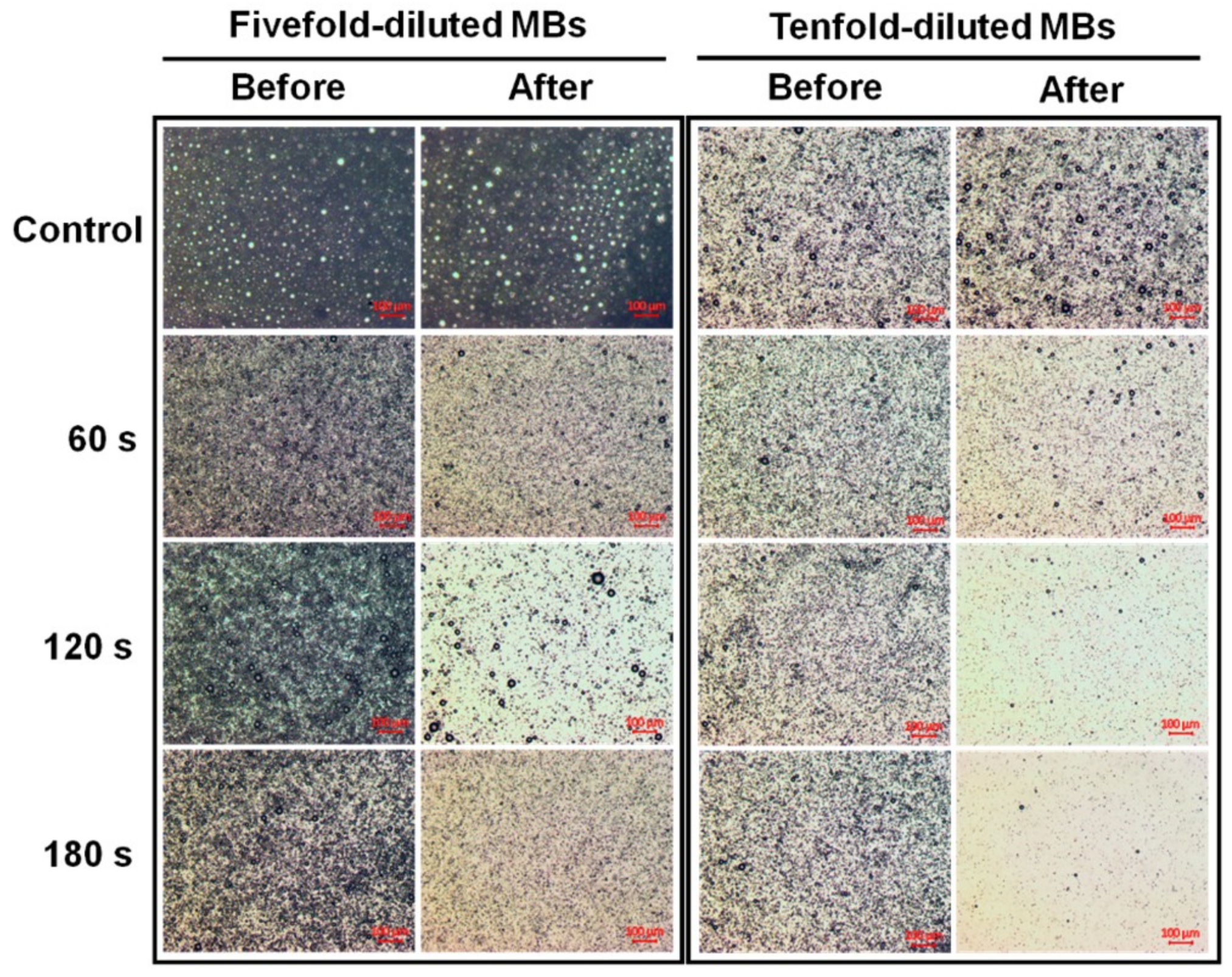 Pharmaceutics 10 00175 g003