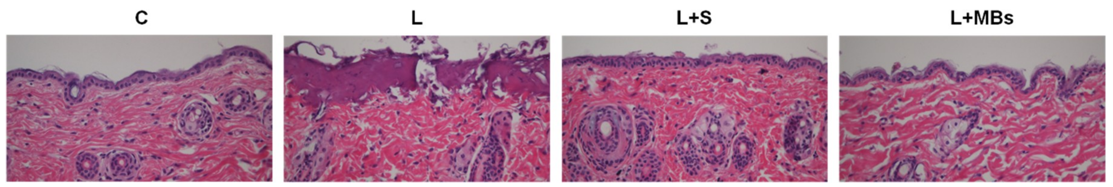 Pharmaceutics 10 00175 g007