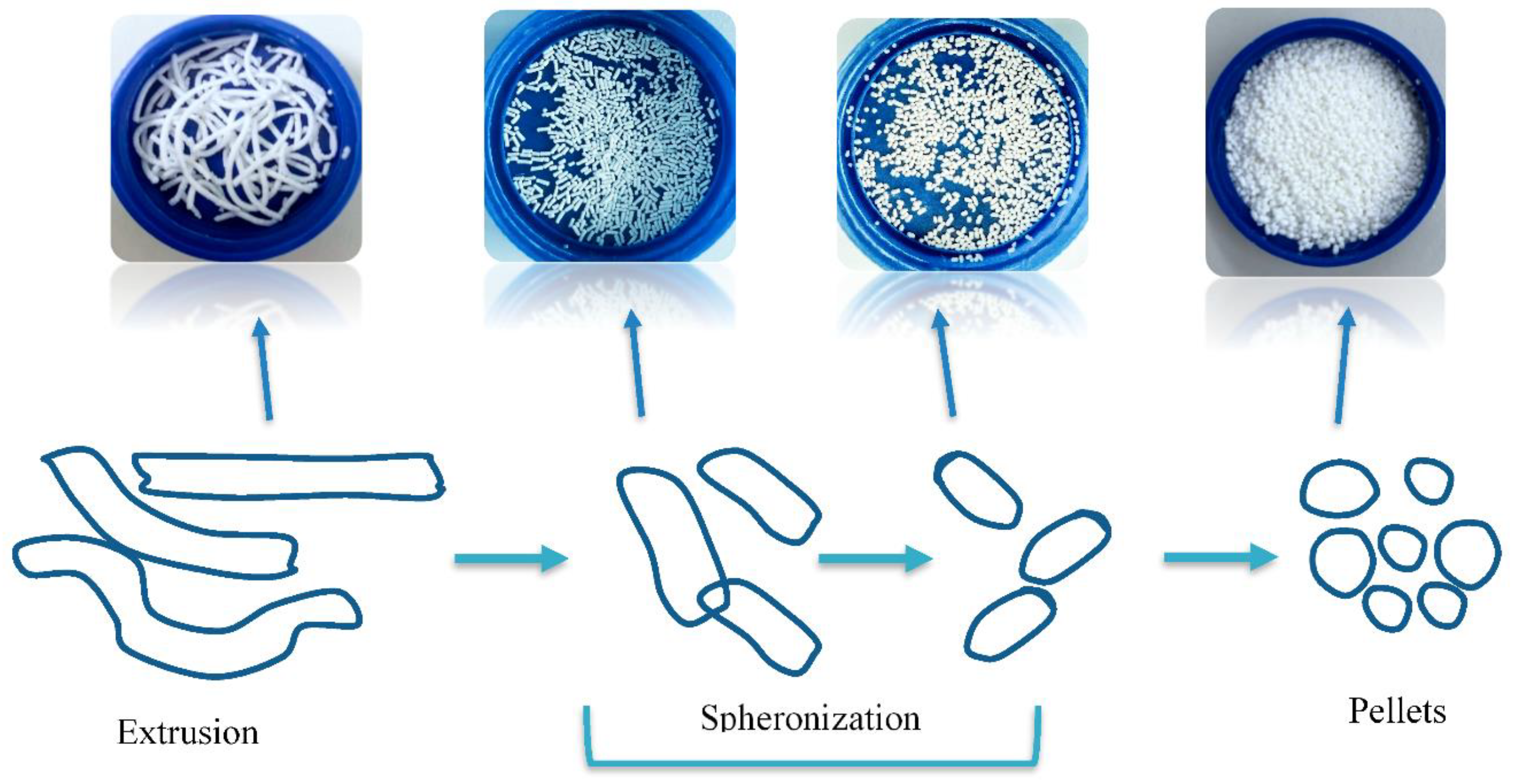 Oral Modified Release Multiple-Unit Particulate Systems: Compressed ...
