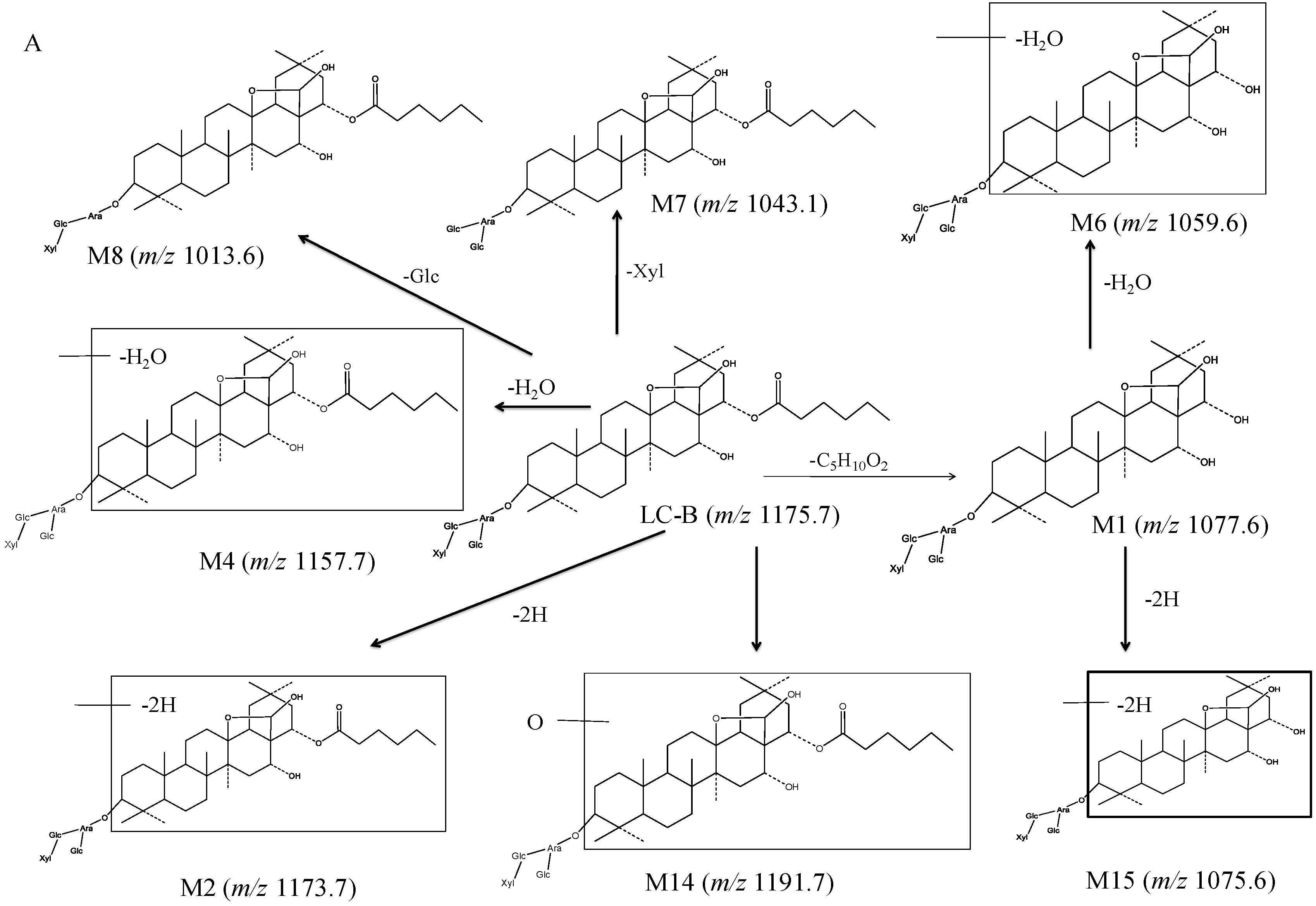 Pharmaceutics 10 00178 g004a