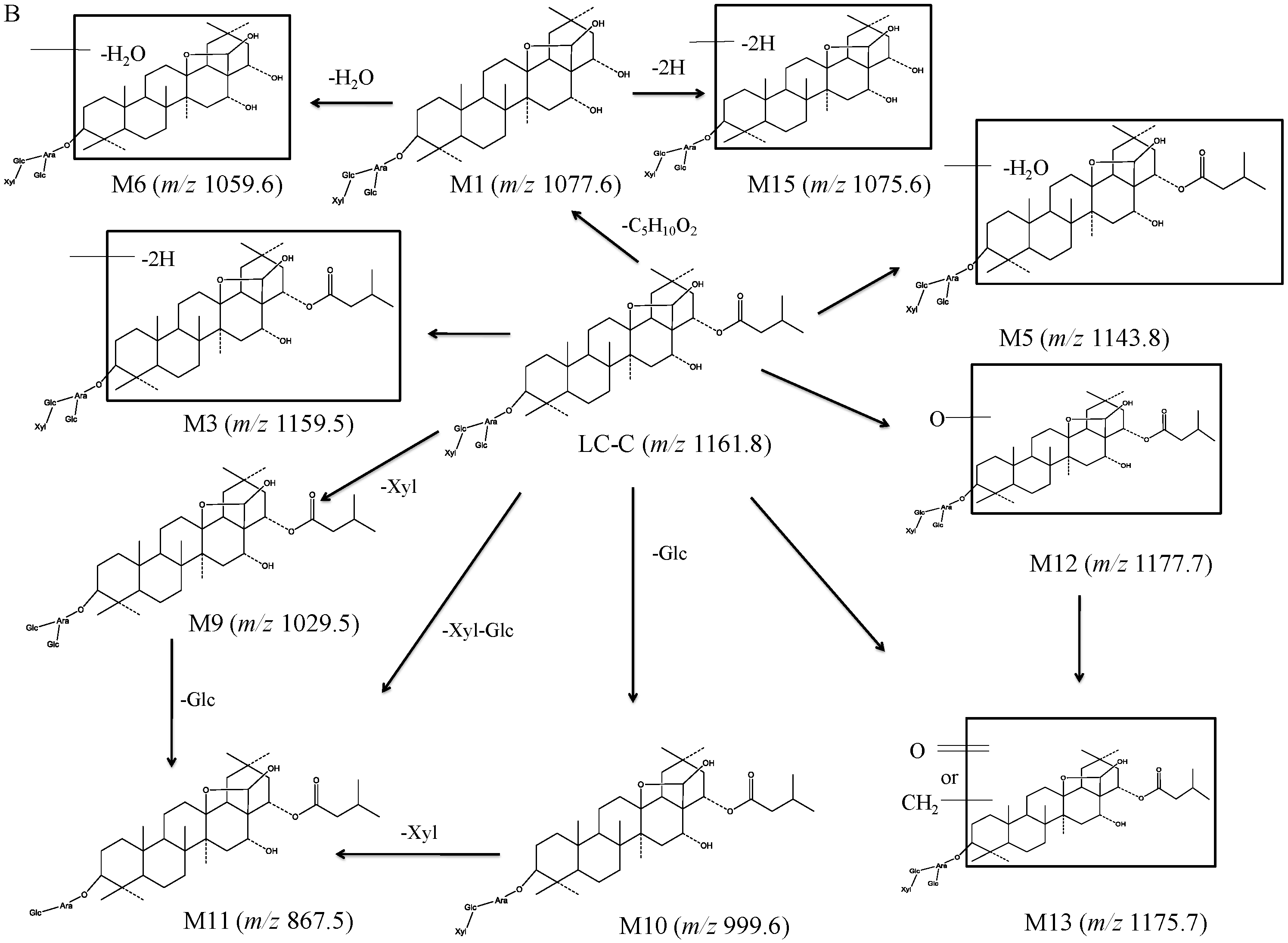 Pharmaceutics 10 00178 g004b