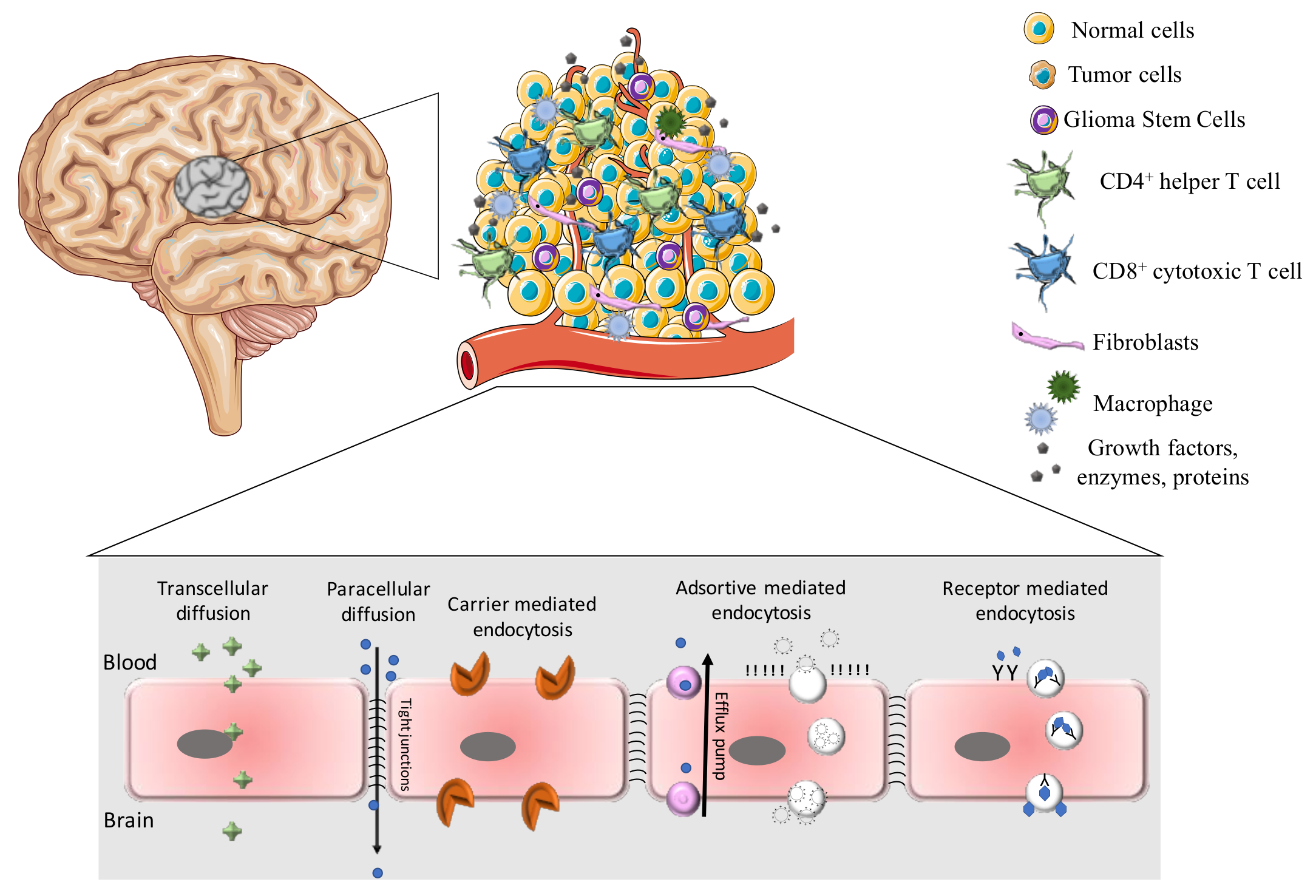 Pharmaceutics 10 00181 g001