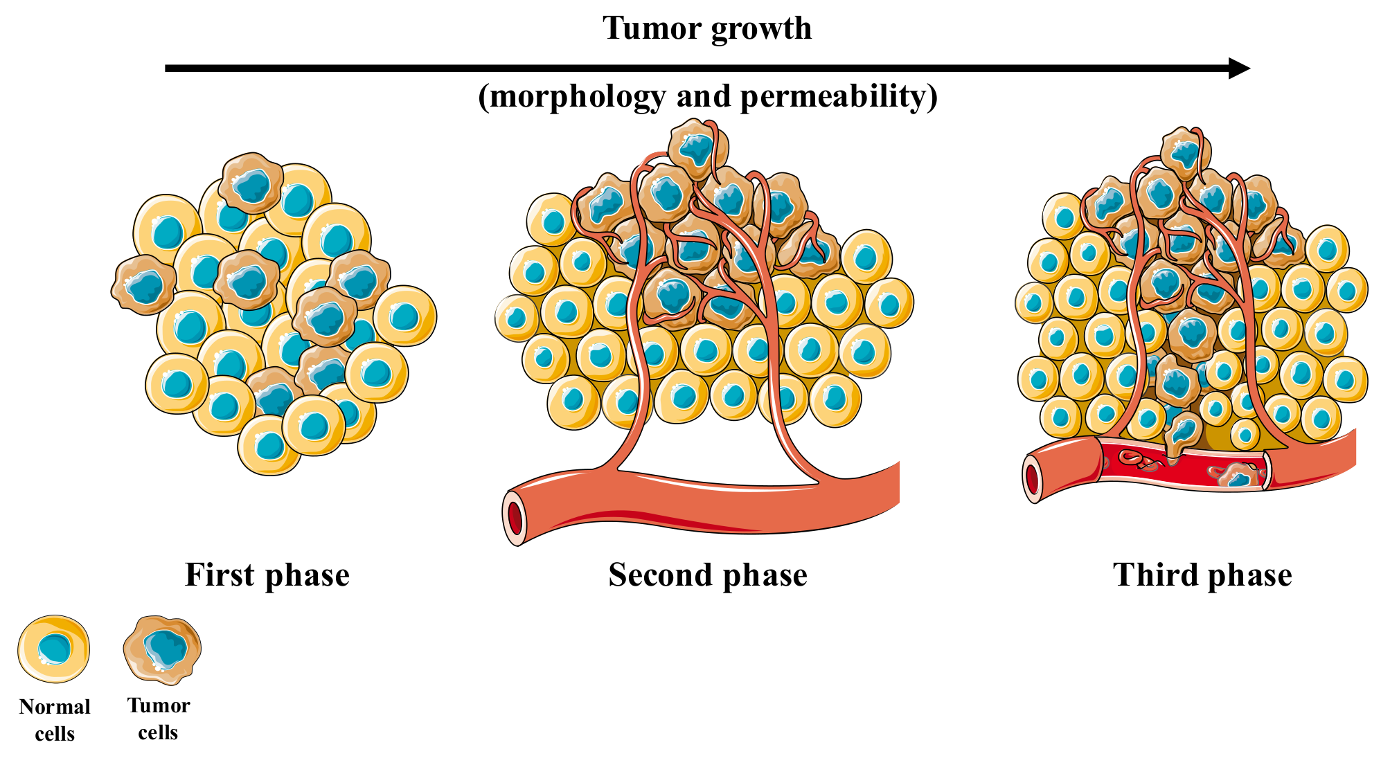 Pharmaceutics 10 00181 g003