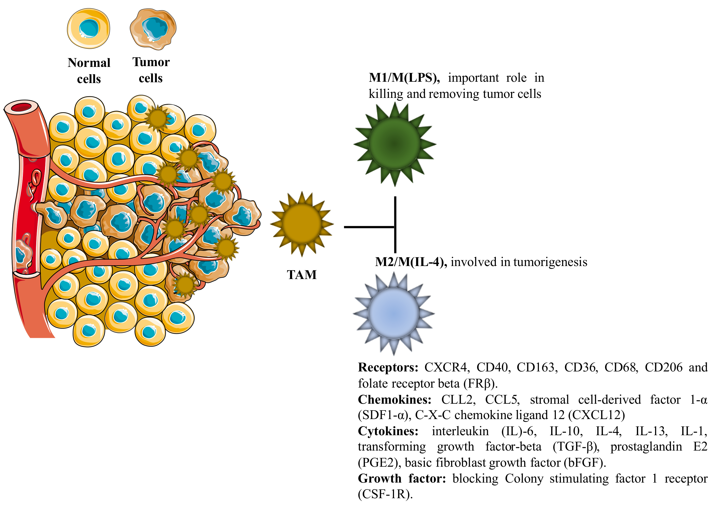 Pharmaceutics 10 00181 g004