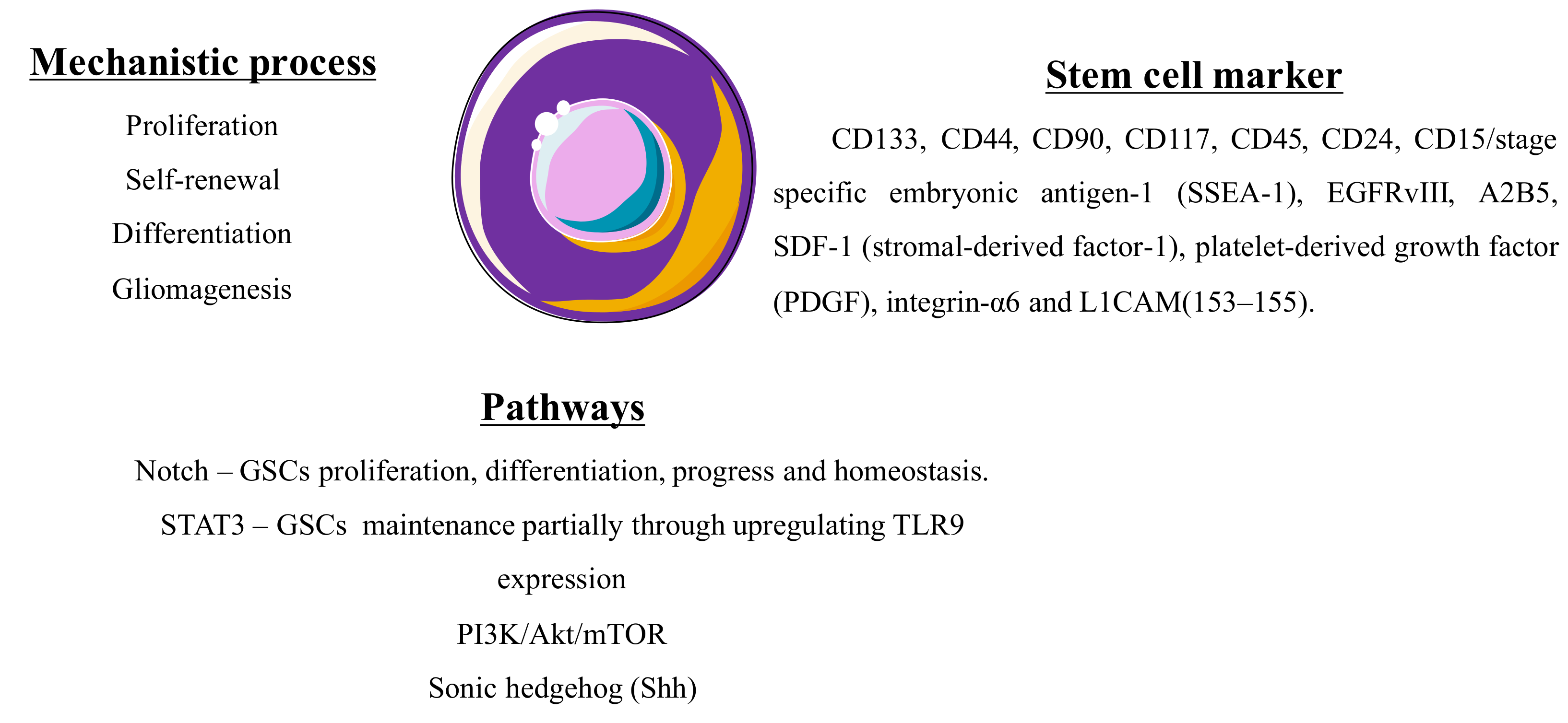 Pharmaceutics 10 00181 g005