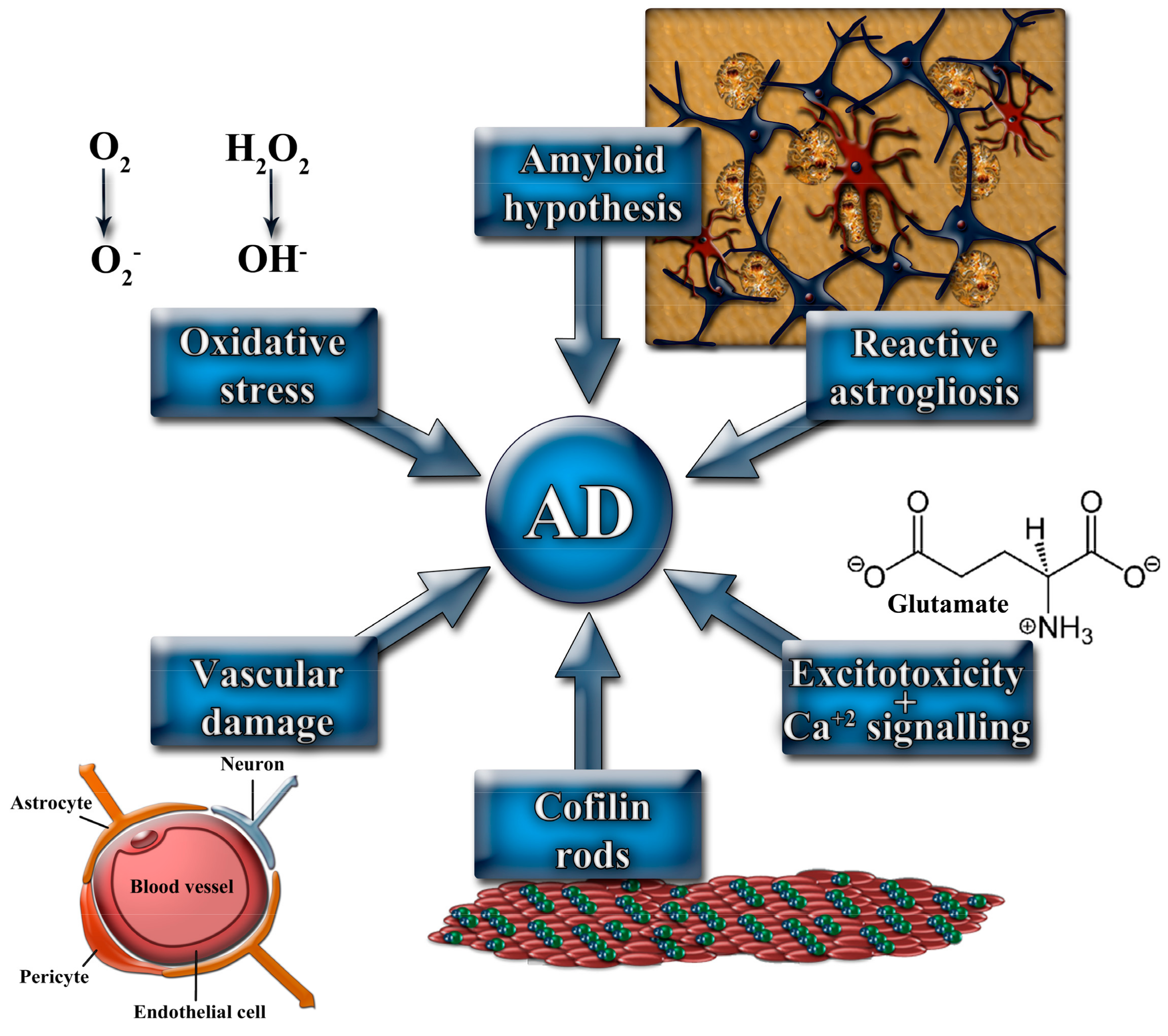 Pharmaceutics 10 00190 g001