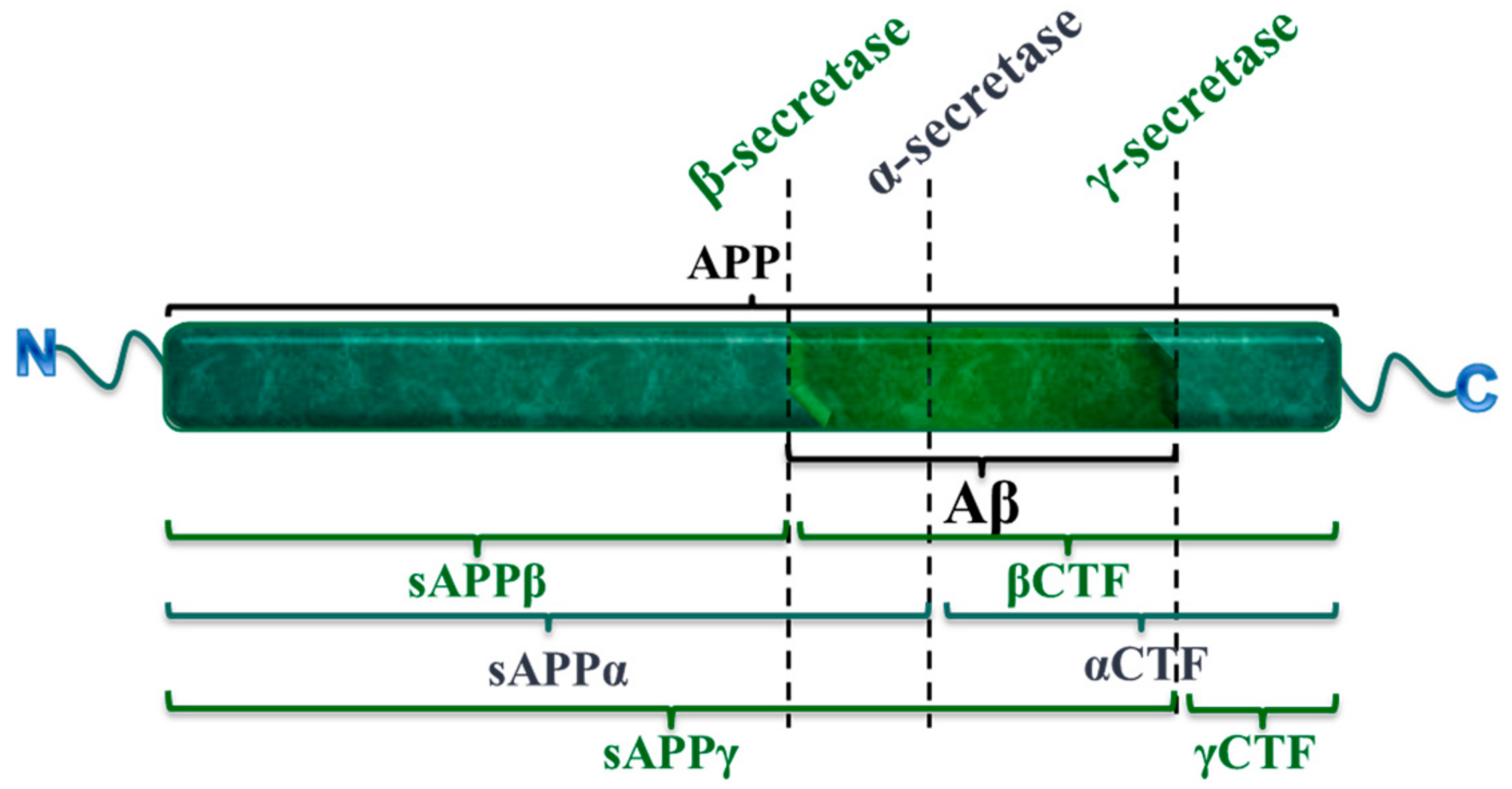 Pharmaceutics 10 00190 g002