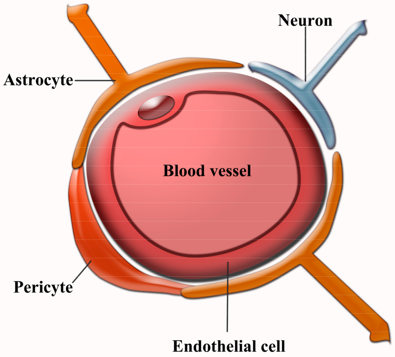 Pharmaceutics 10 00190 g003