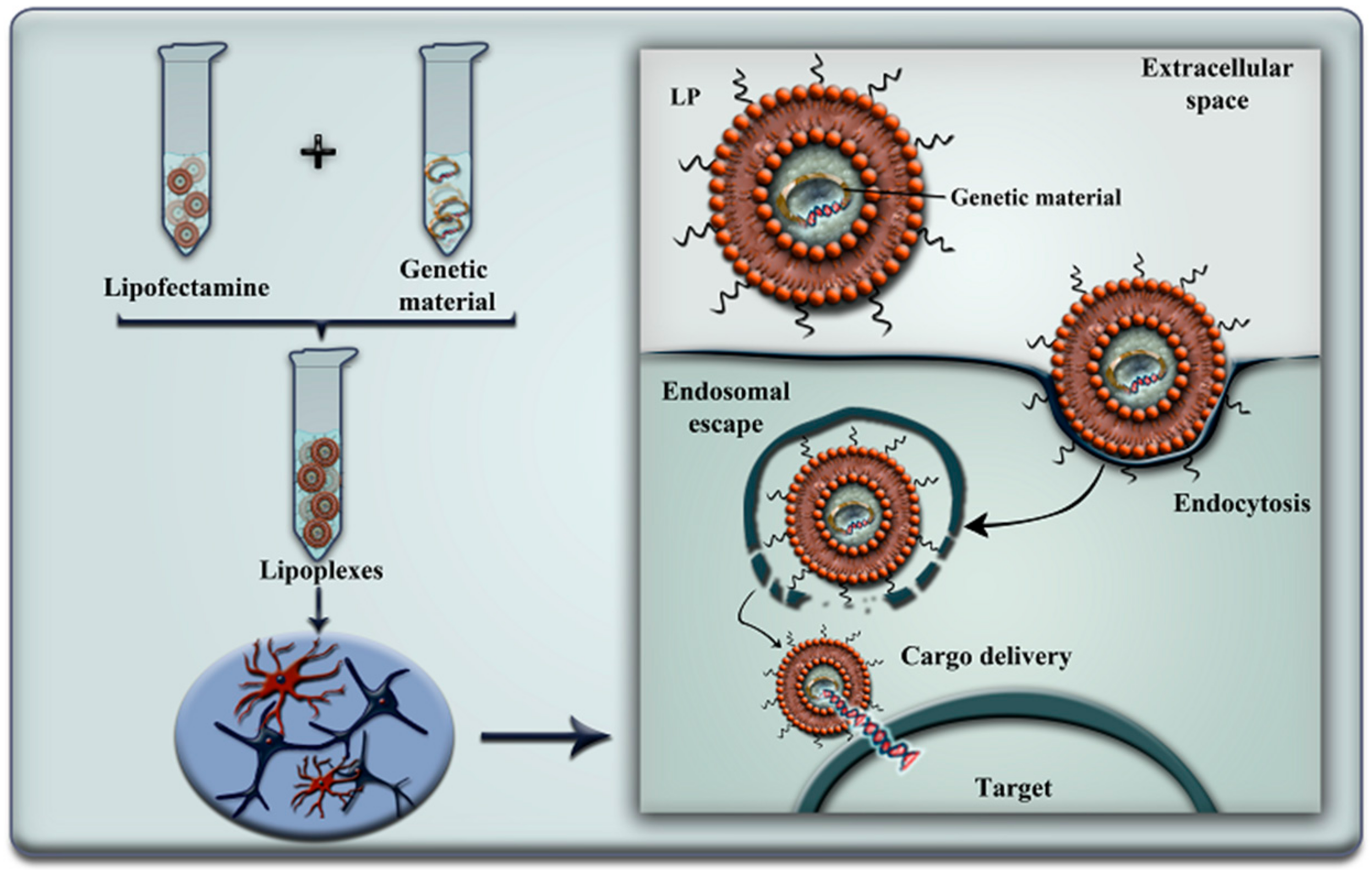 Pharmaceutics 10 00190 g004