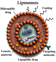 Pharmaceutics 10 00190 i001 Pharmaceutics 10 00190 i001