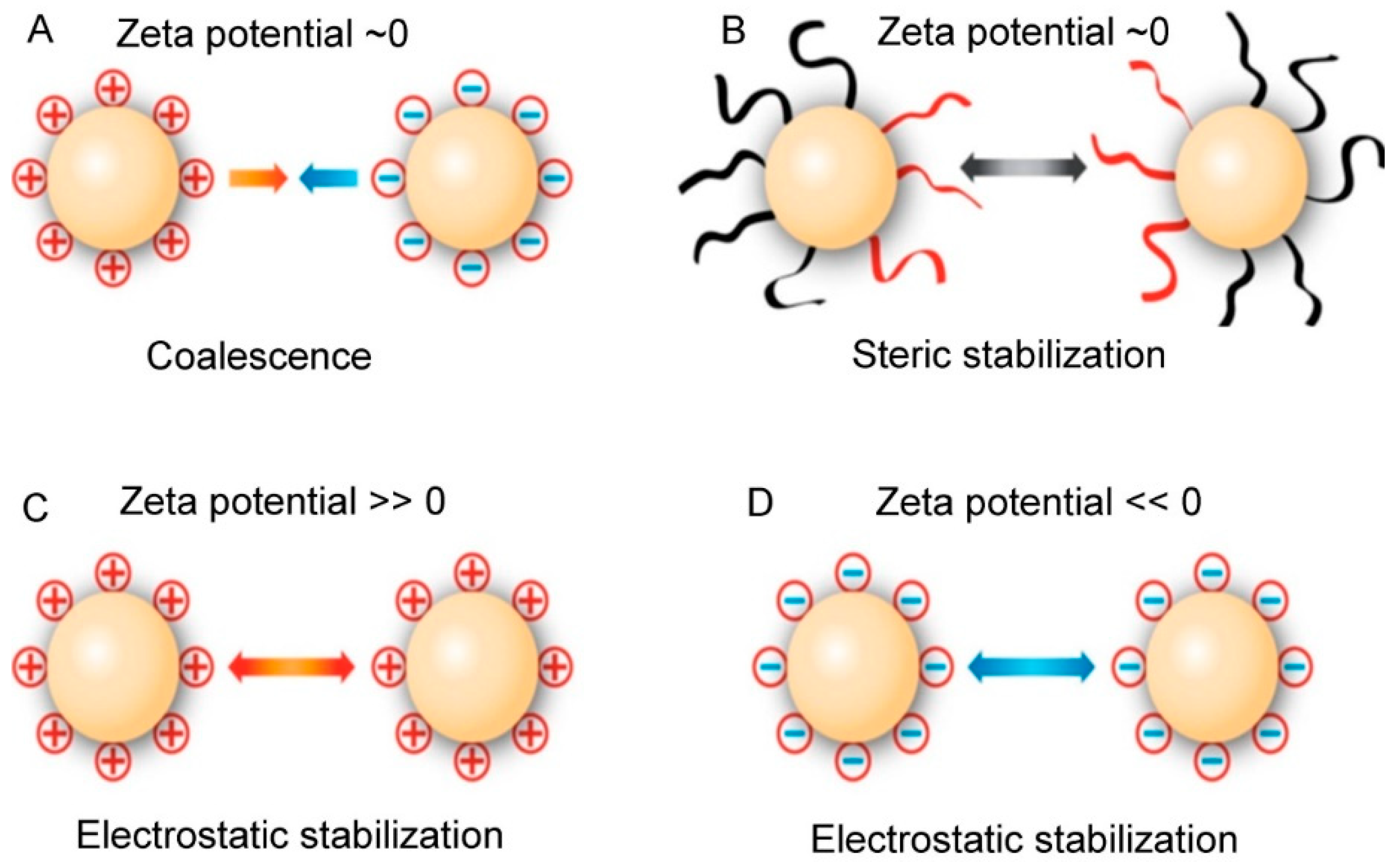 Pharmaceutics 10 00191 g005