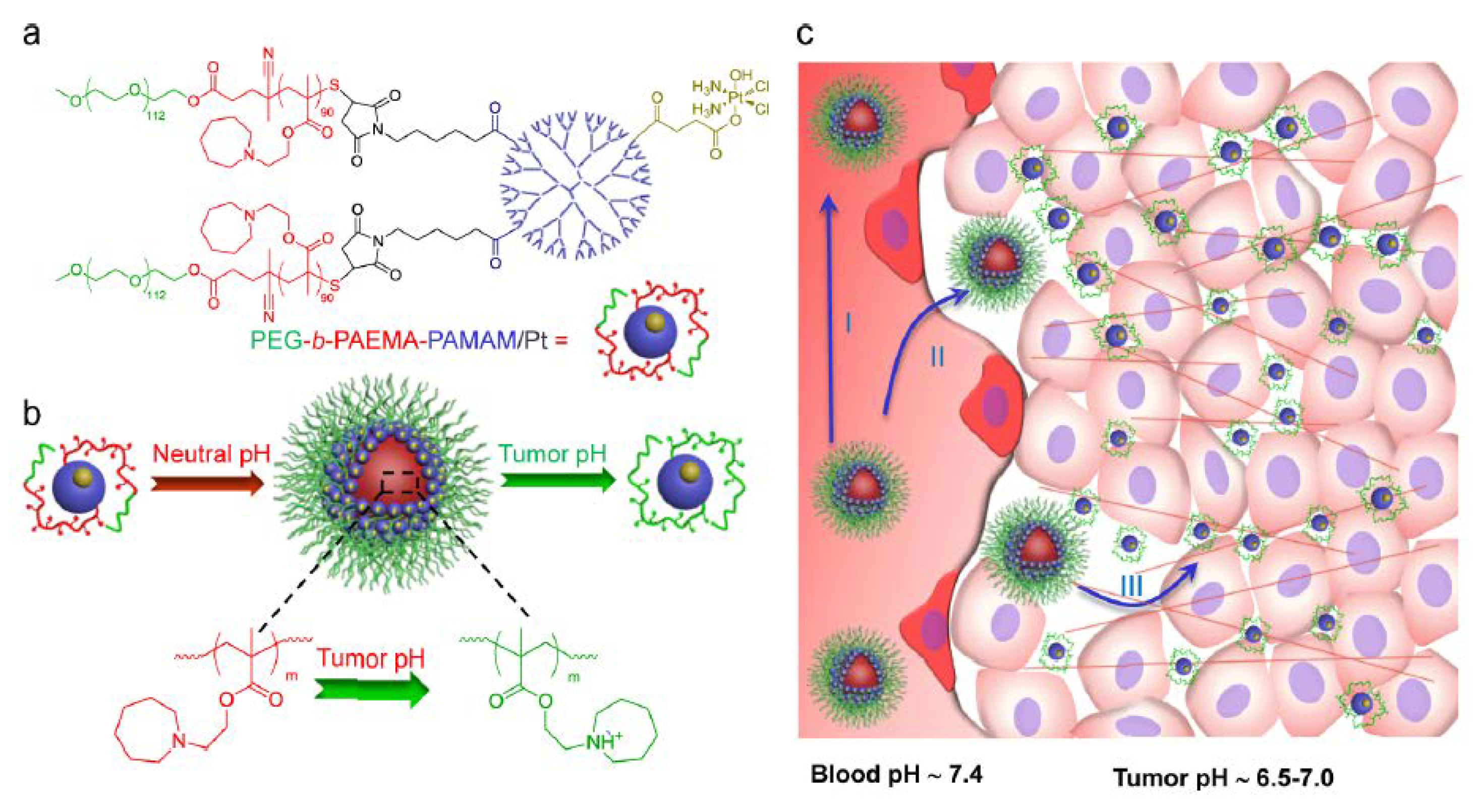 Pharmaceutics 10 00193 g003