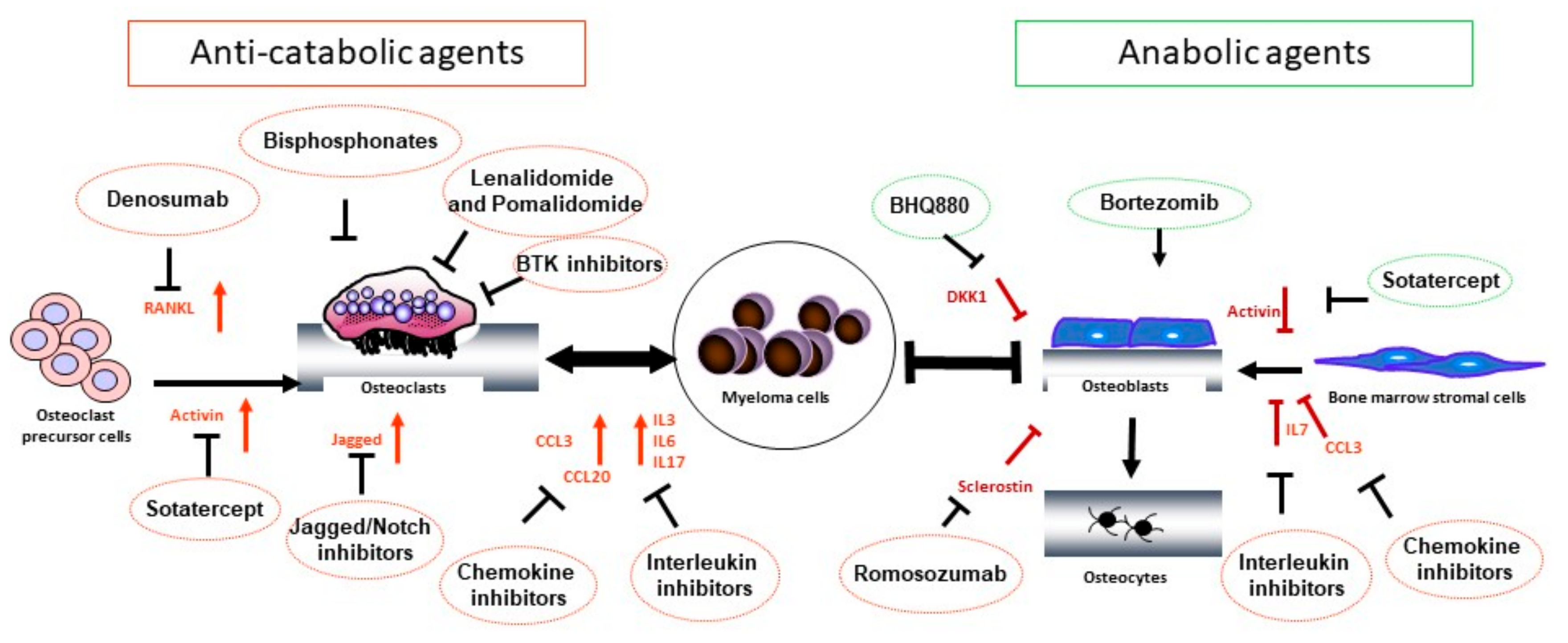 Pharmaceutics 10 00202 g001