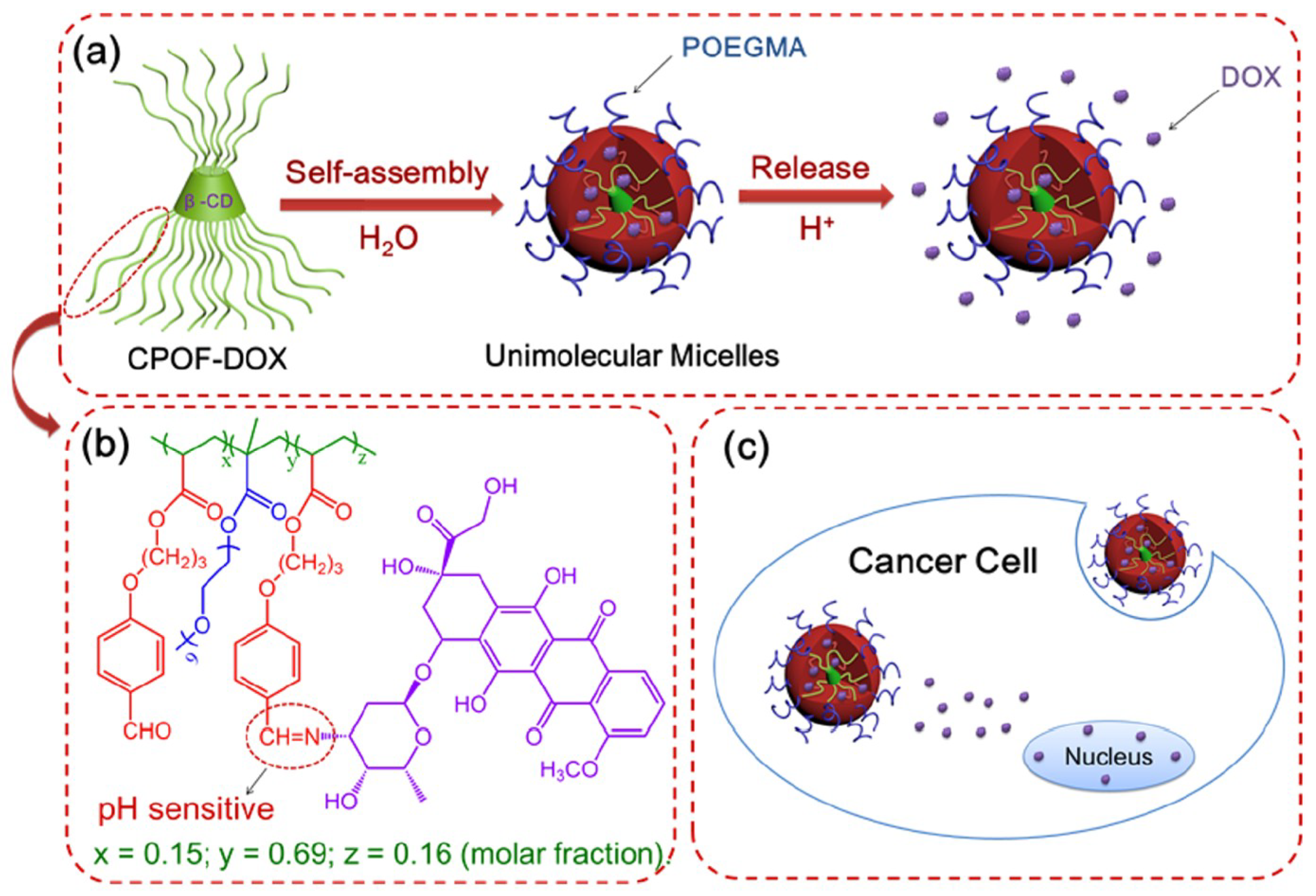 Pharmaceutics 10 00209 g008