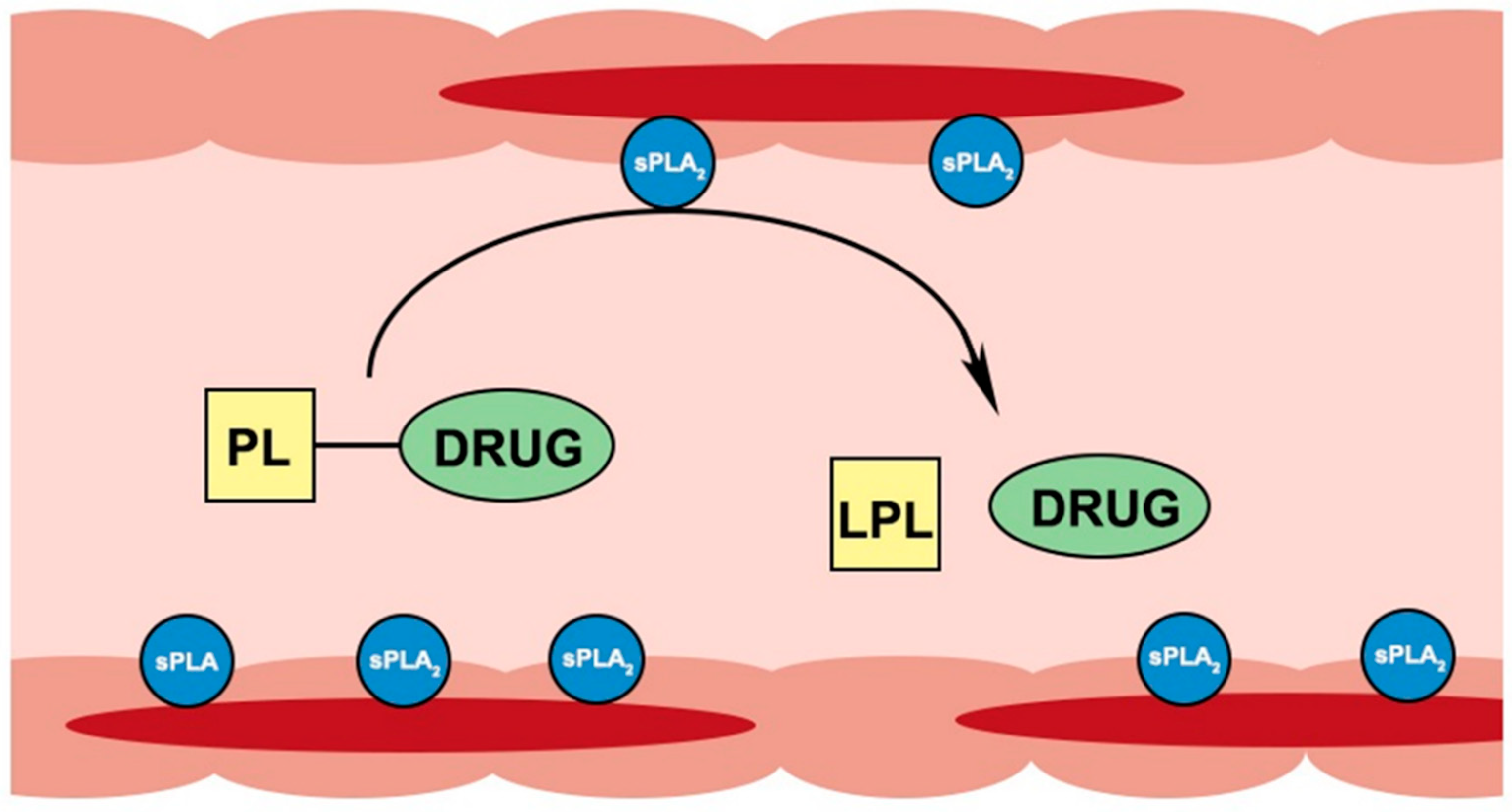 Pharmaceutics 10 00210 g003 Pharmaceutics 10 00210 g003