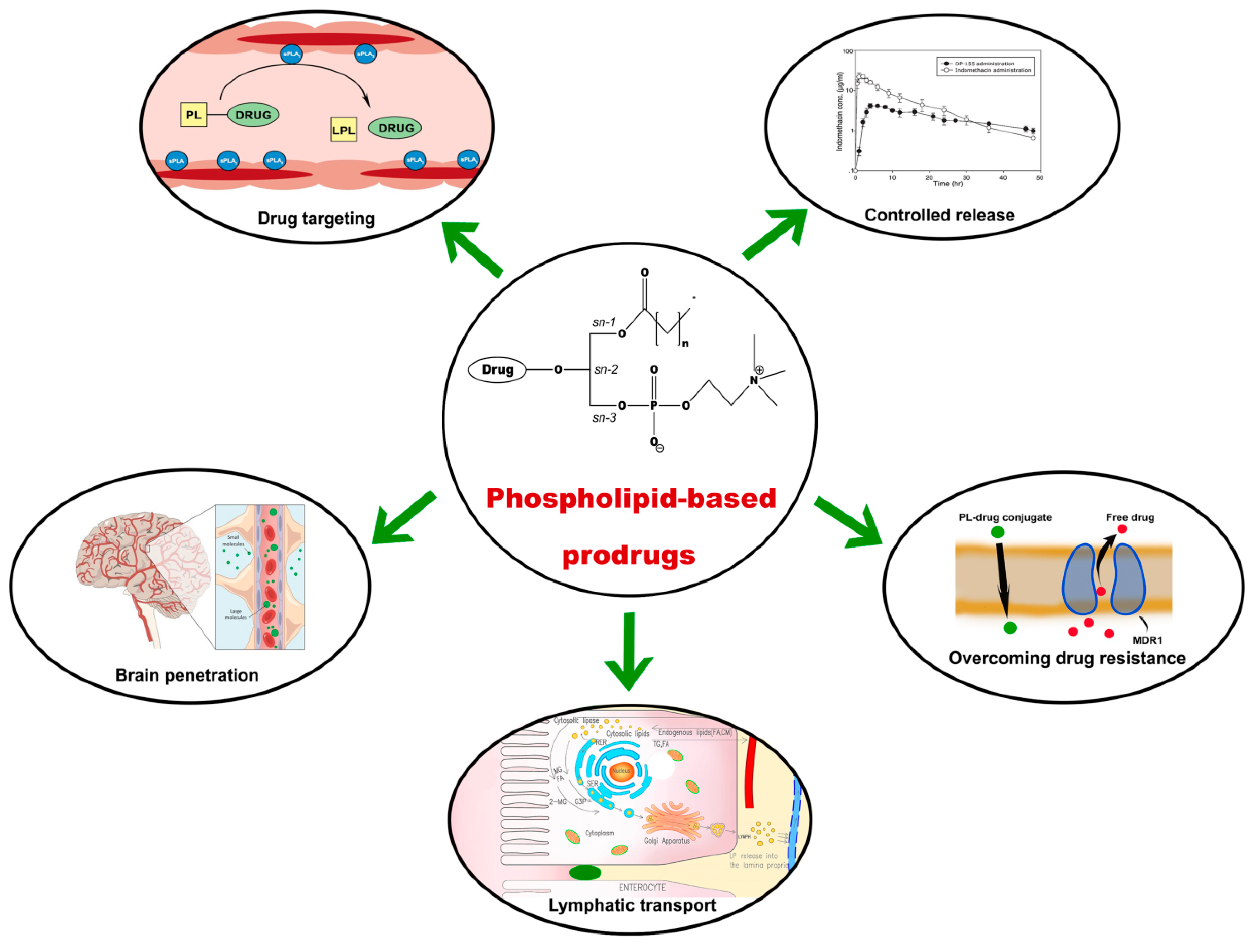 Pharmaceutics 10 00210 g008 Pharmaceutics 10 00210 g008