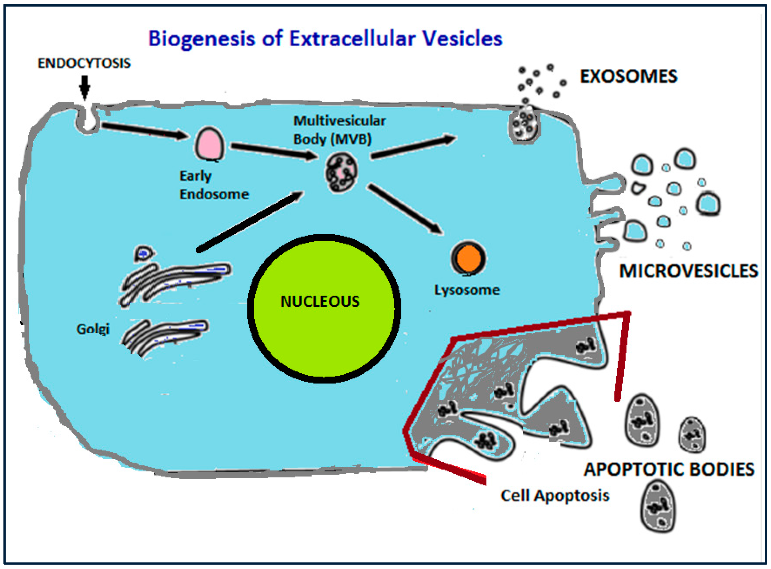 Pharmaceutics 10 00218 g001