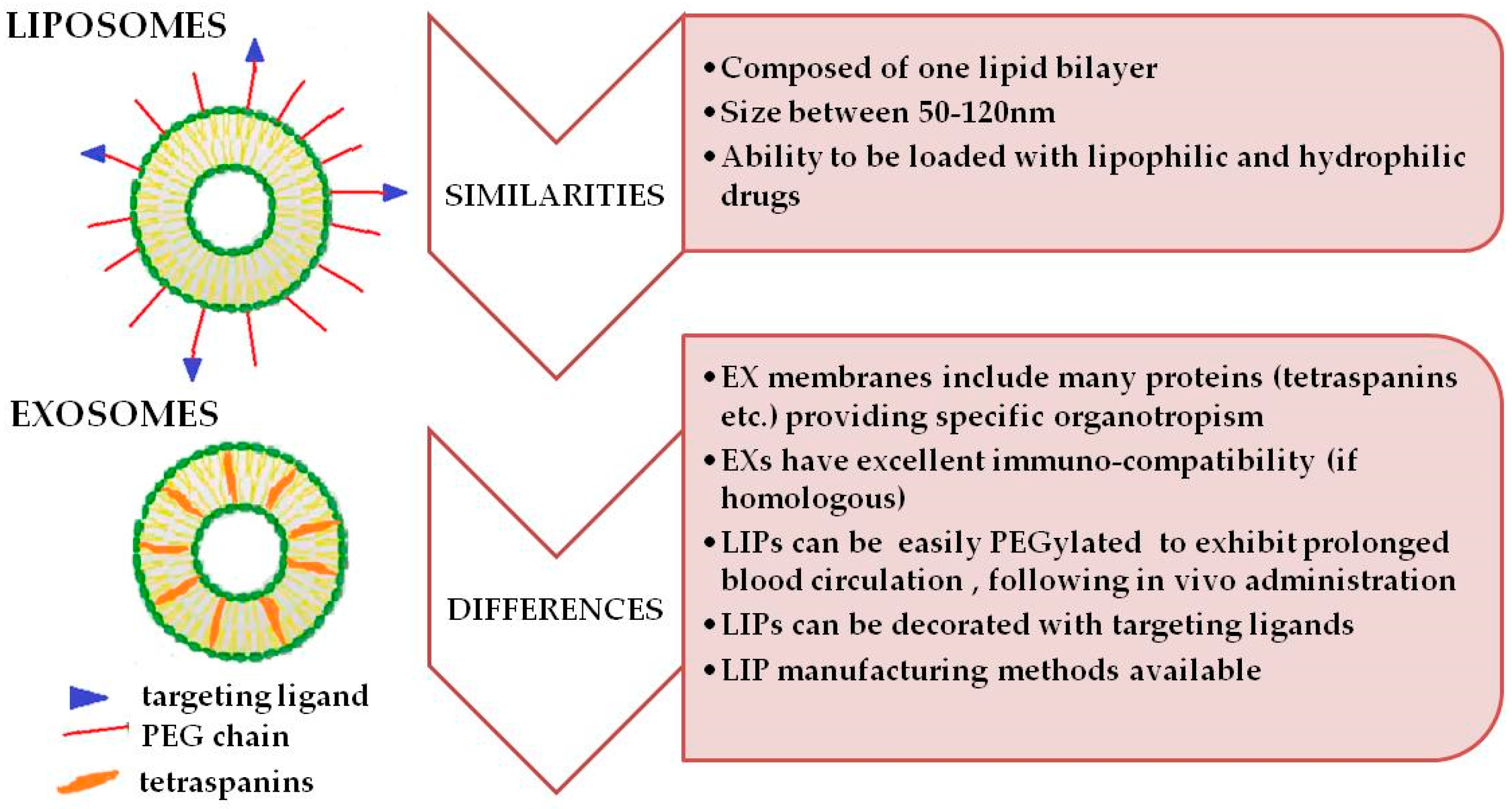 Pharmaceutics 10 00218 g002