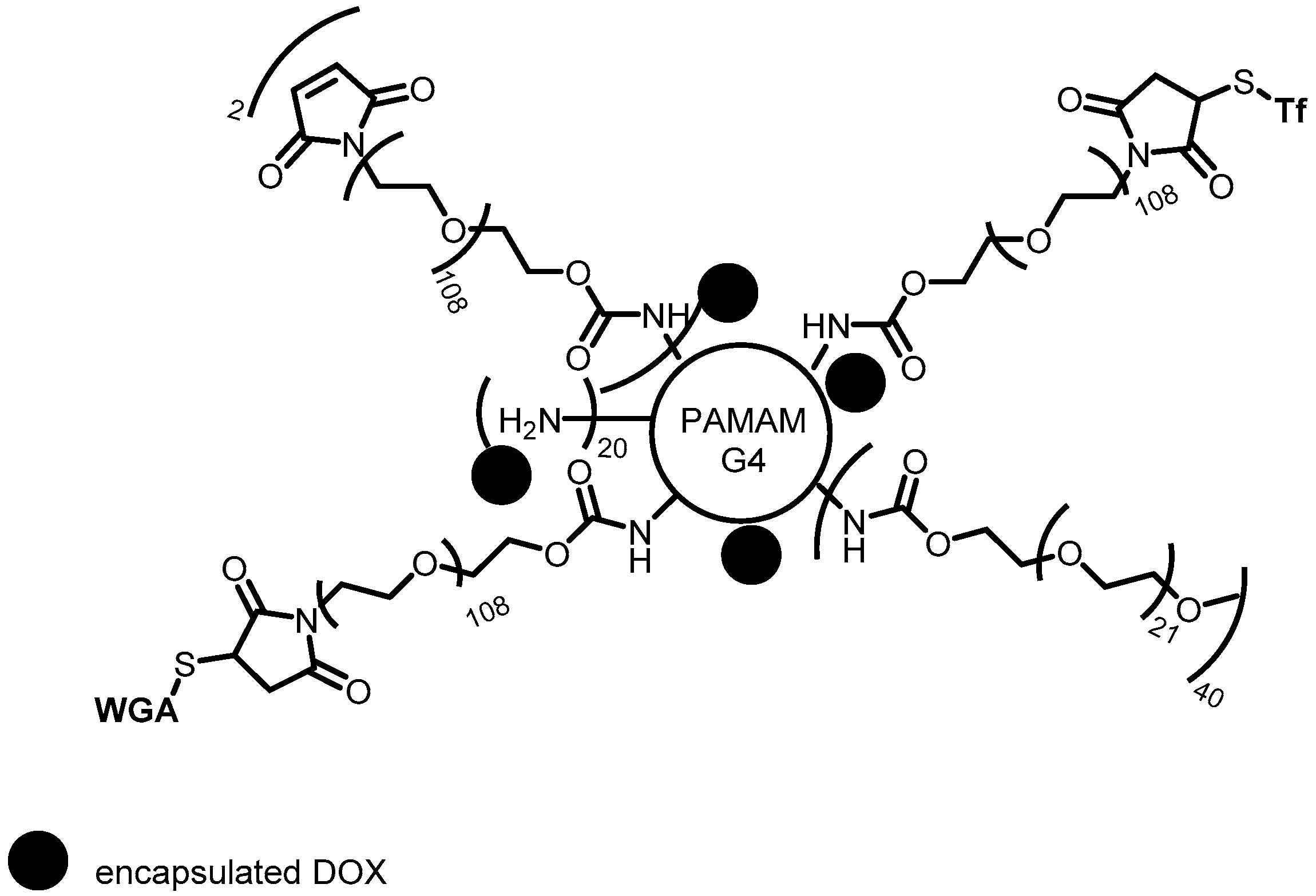 Pharmaceutics 10 00219 g003