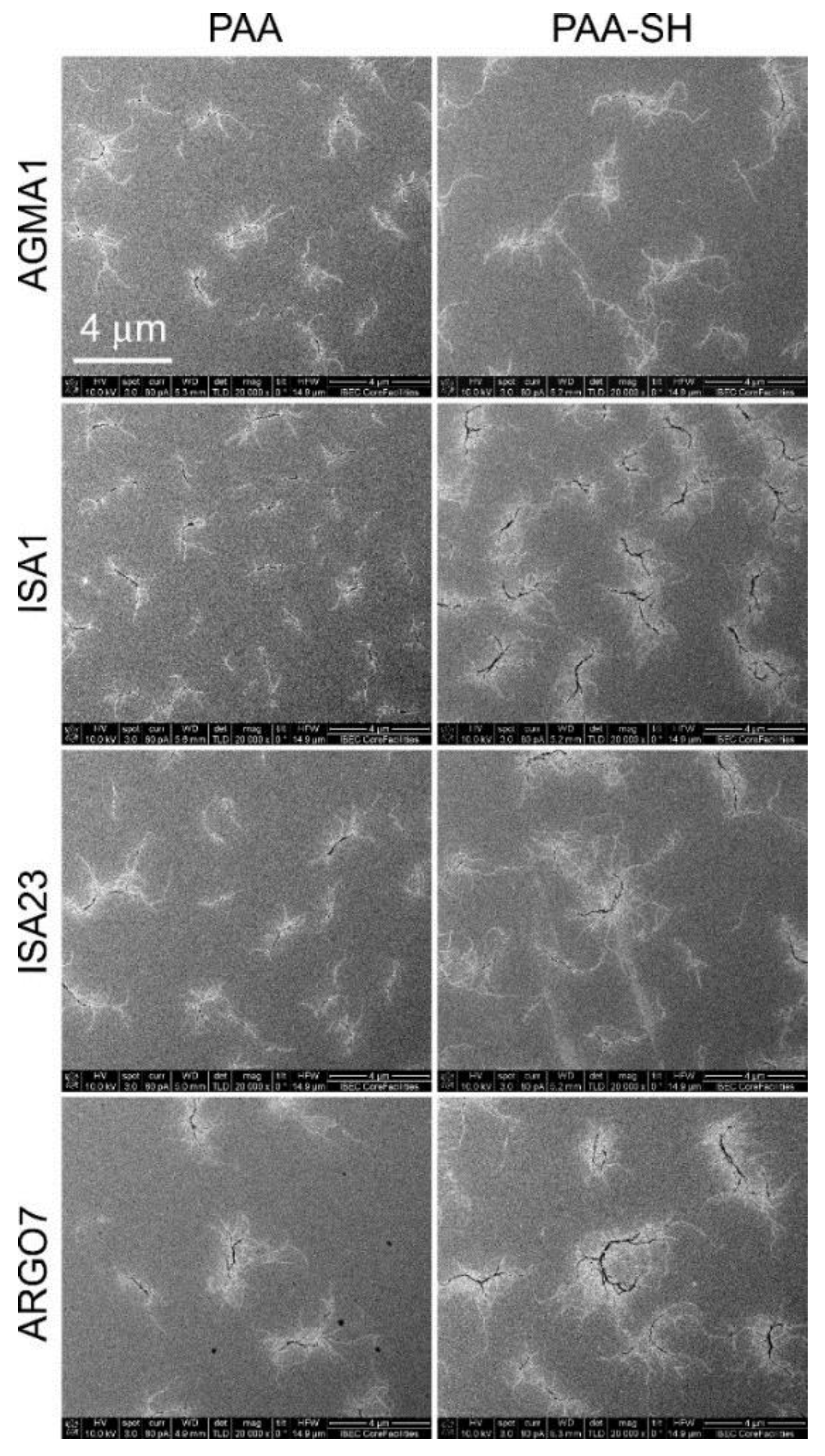 Pharmaceutics 10 00225 g002 Pharmaceutics 10 00225 g002