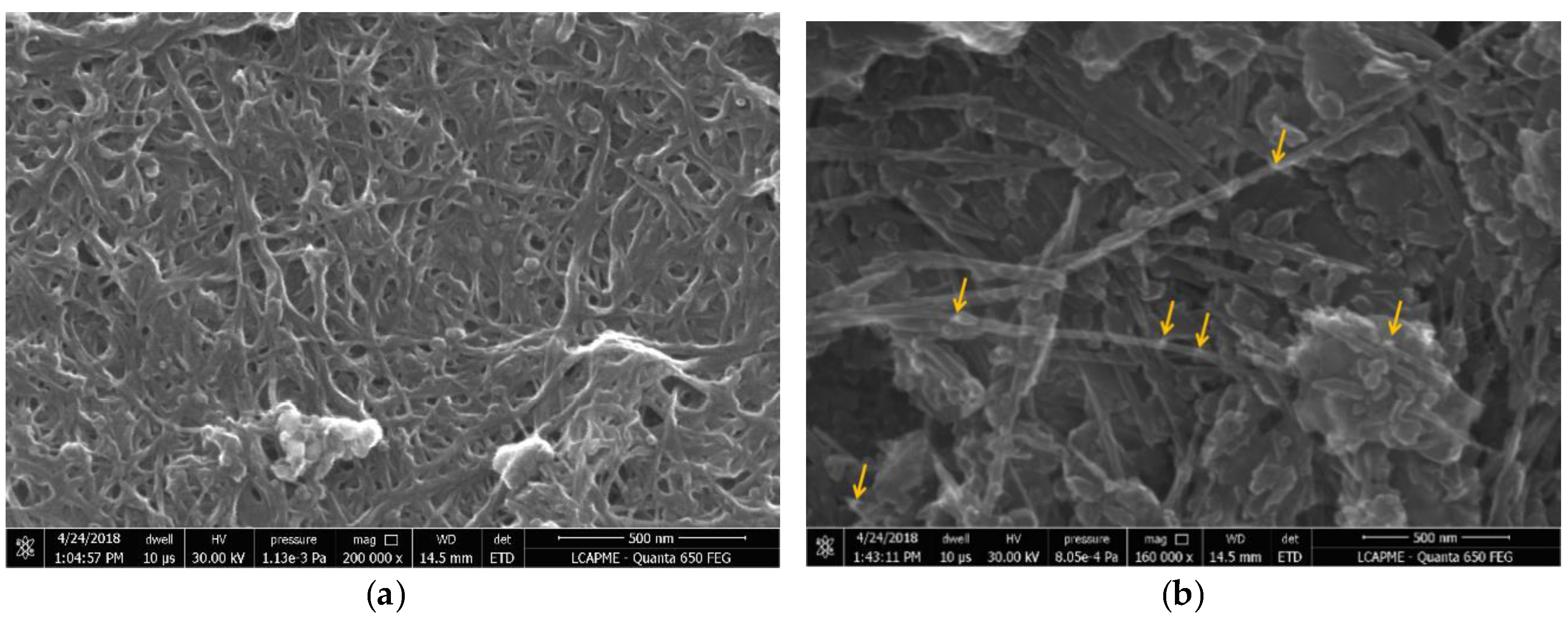Pharmaceutics 10 00228 g002