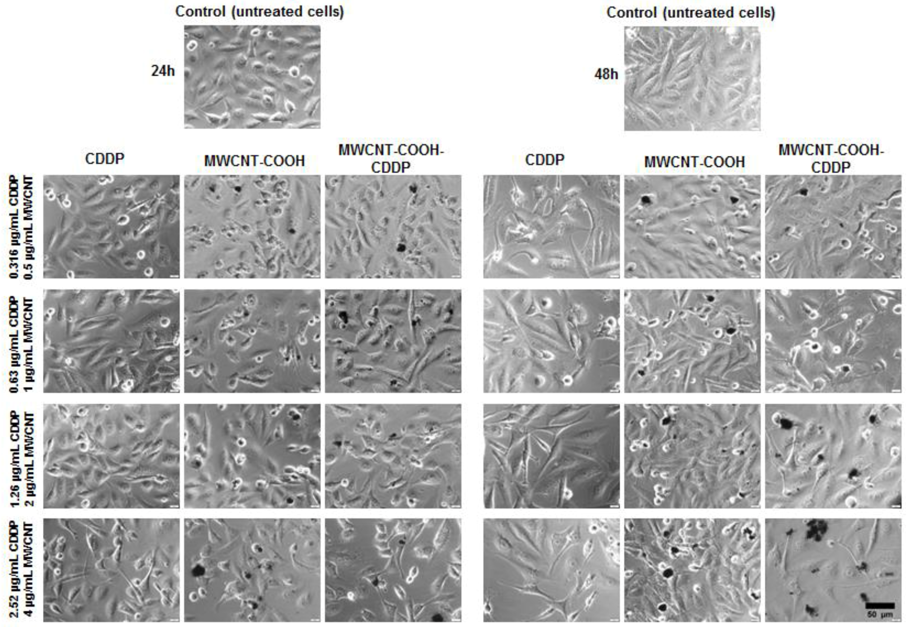Pharmaceutics 10 00228 g007