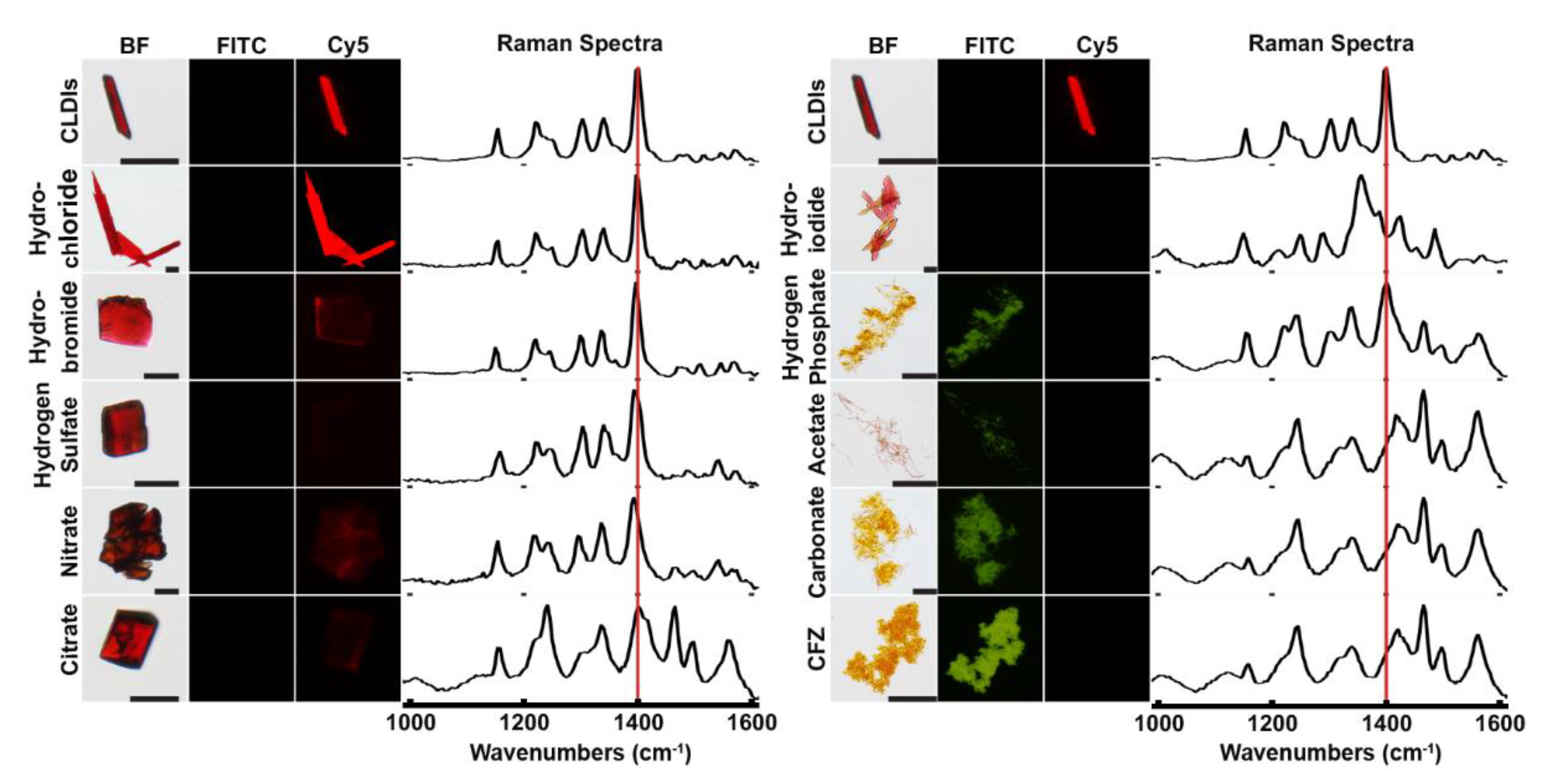 Pharmaceutics 10 00238 g001
