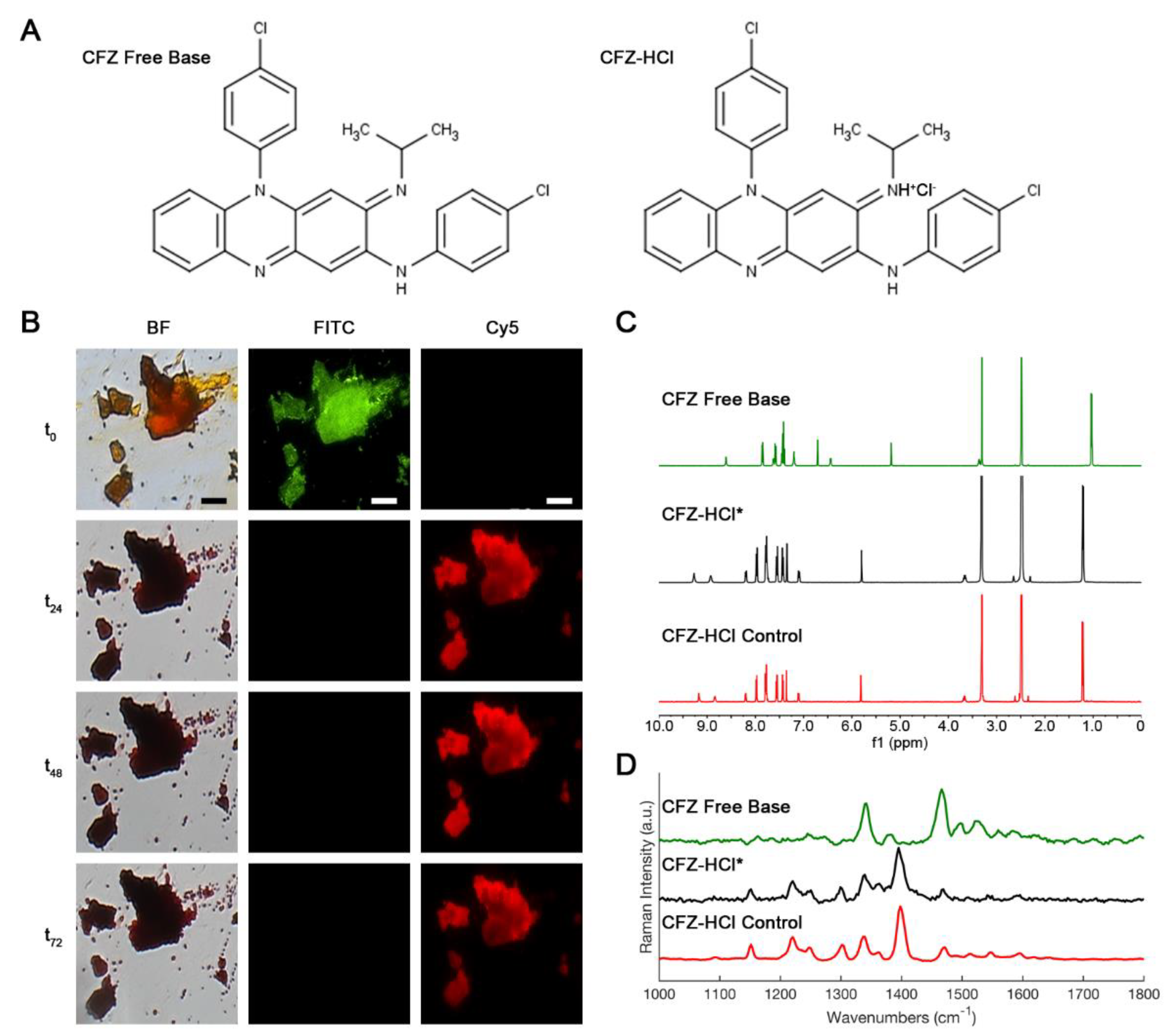 Pharmaceutics 10 00238 g002