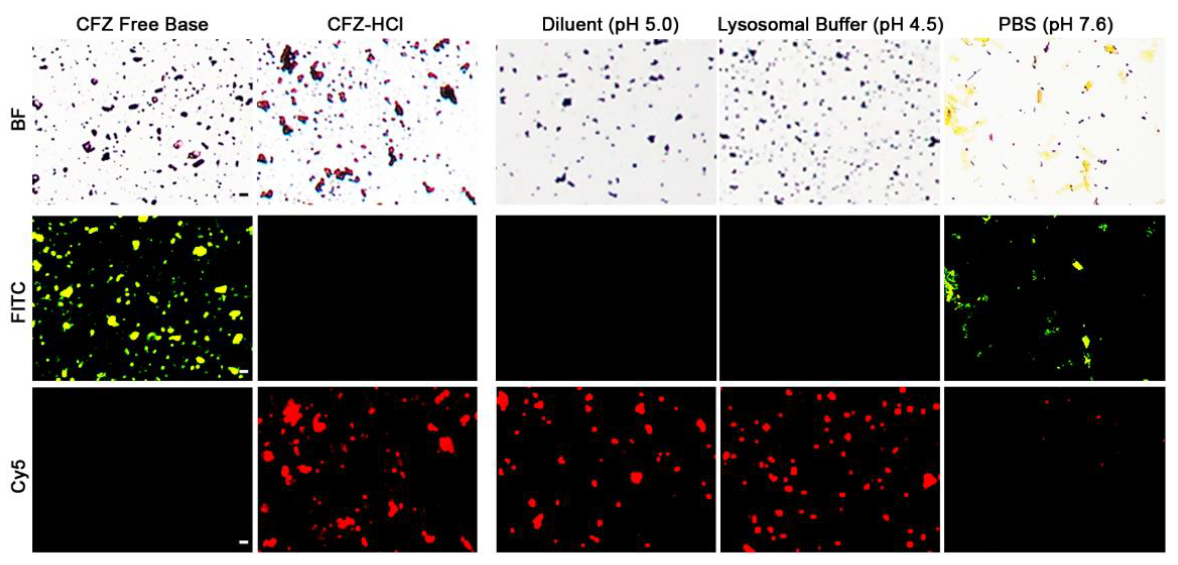 Pharmaceutics 10 00238 g004