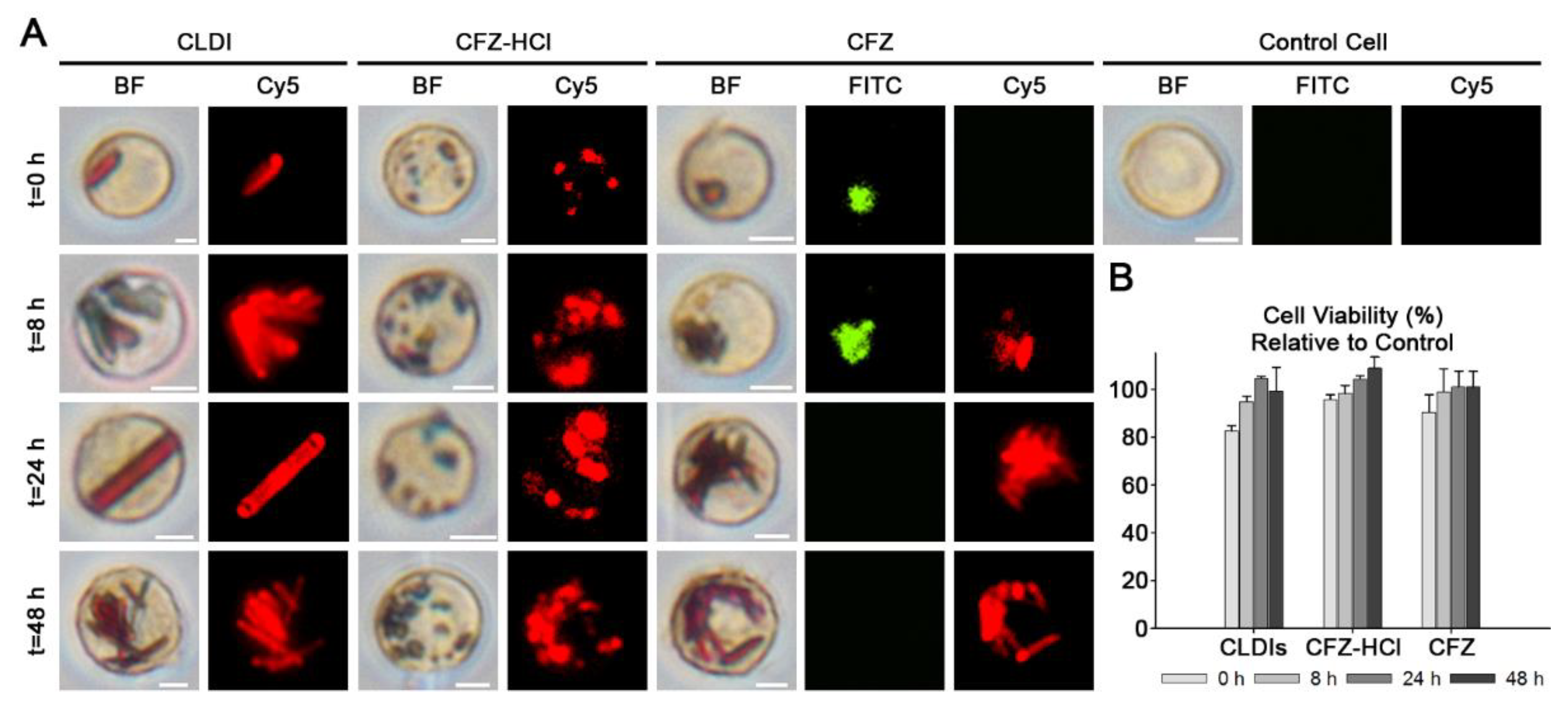 Pharmaceutics 10 00238 g005