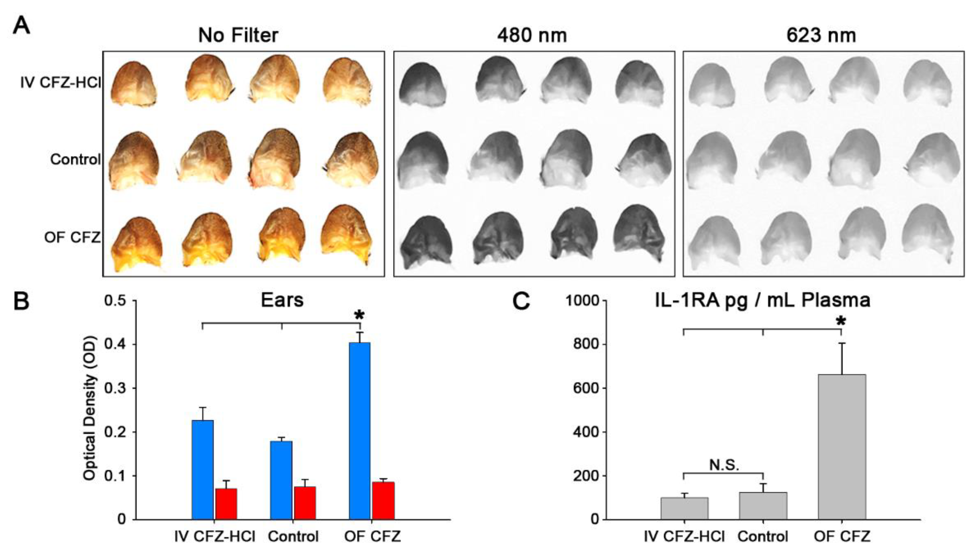 Pharmaceutics 10 00238 g007