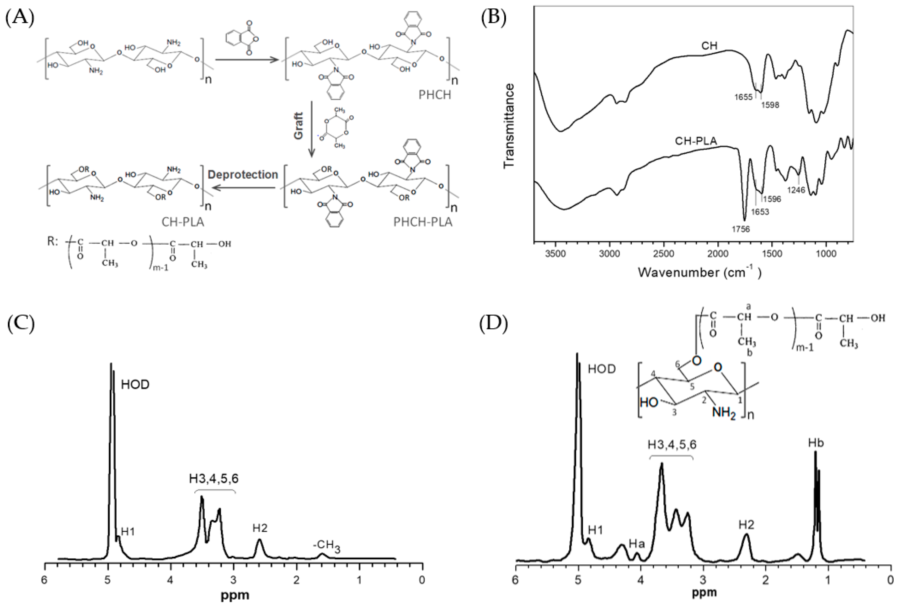 Pharmaceutics 10 00239 g001
