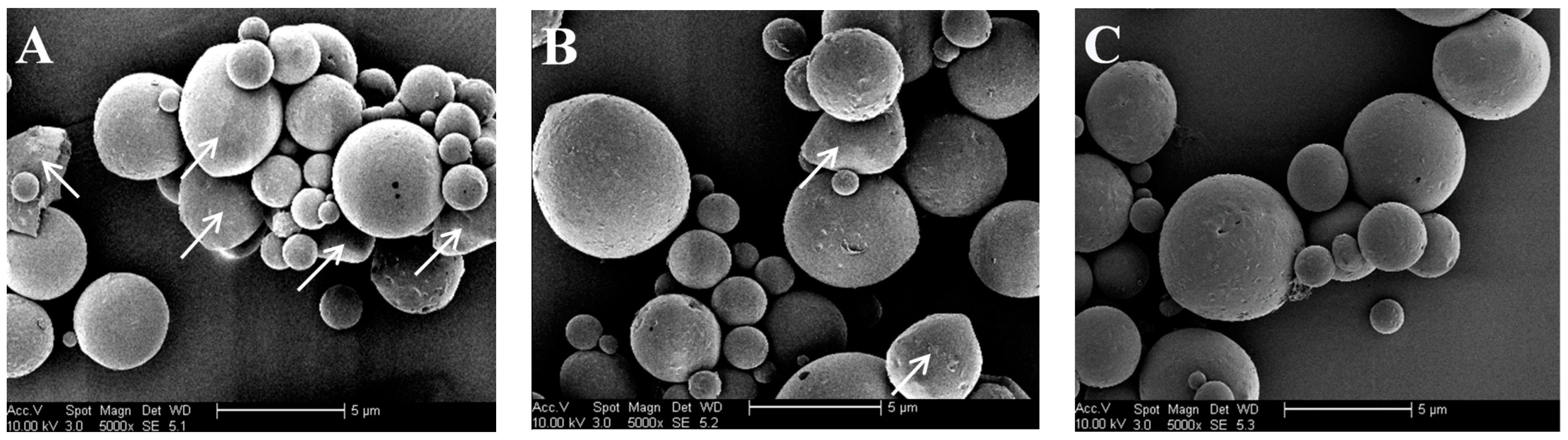 Pharmaceutics 10 00239 g002