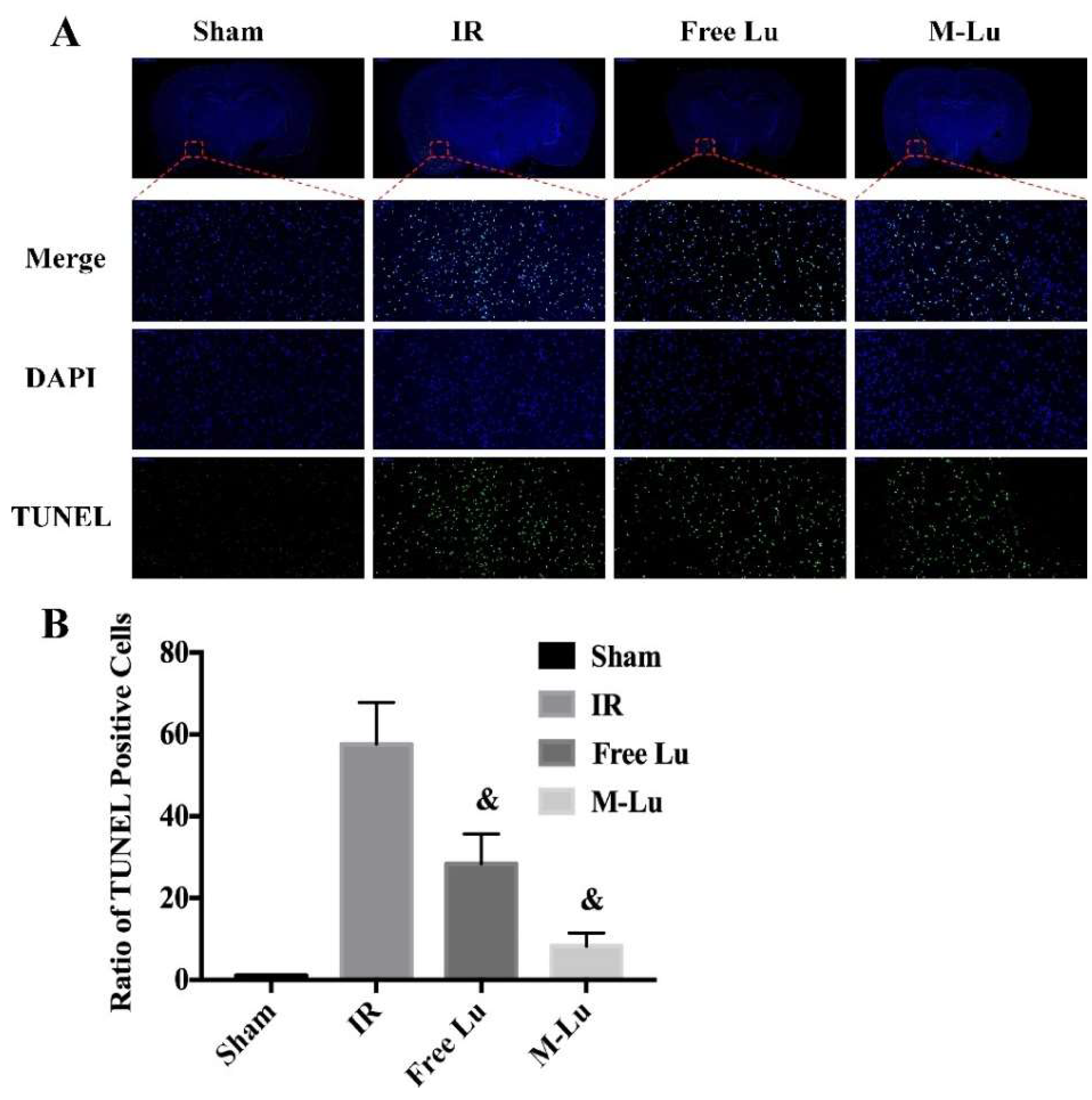 Pharmaceutics 10 00248 g009