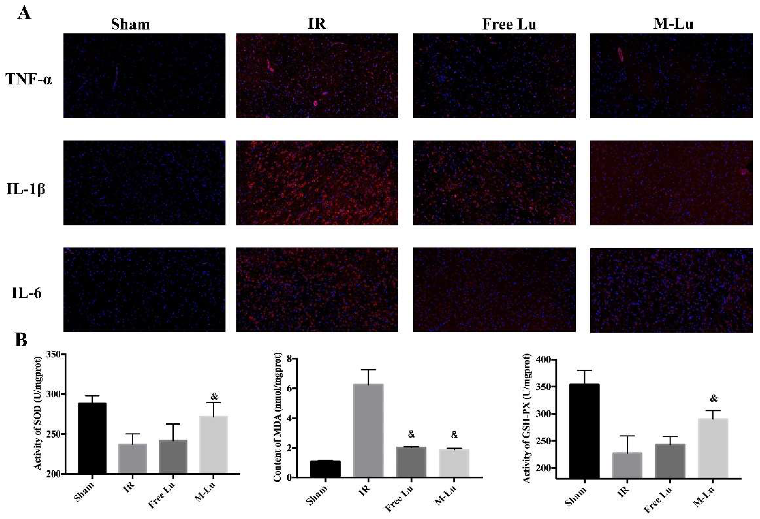 Pharmaceutics 10 00248 g010