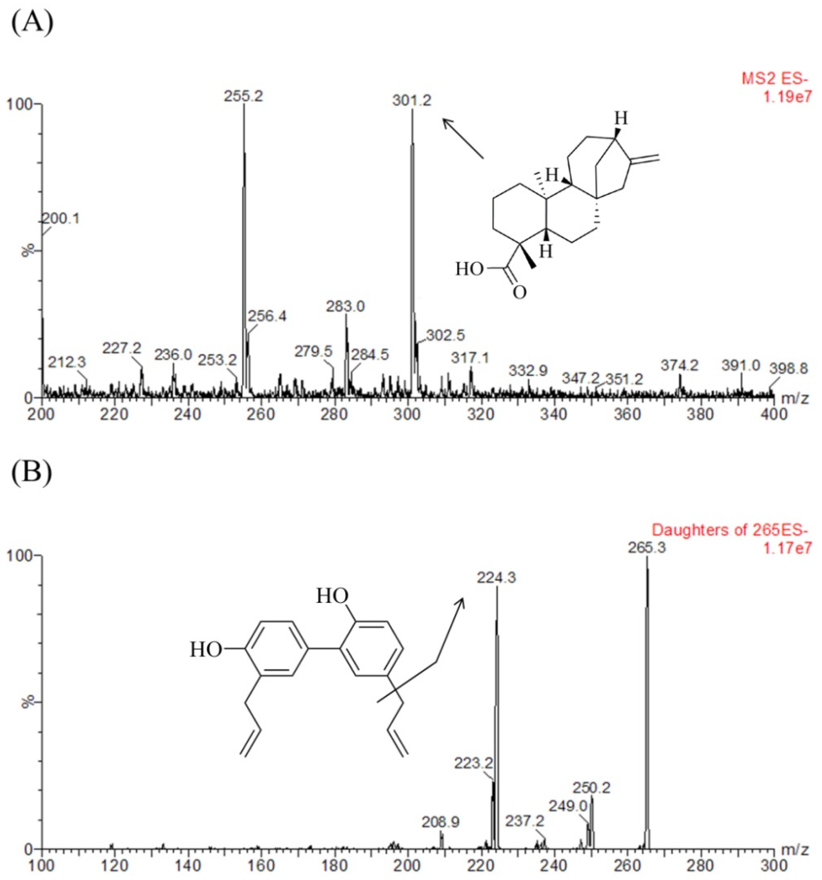 Pharmaceutics 10 00253 g002