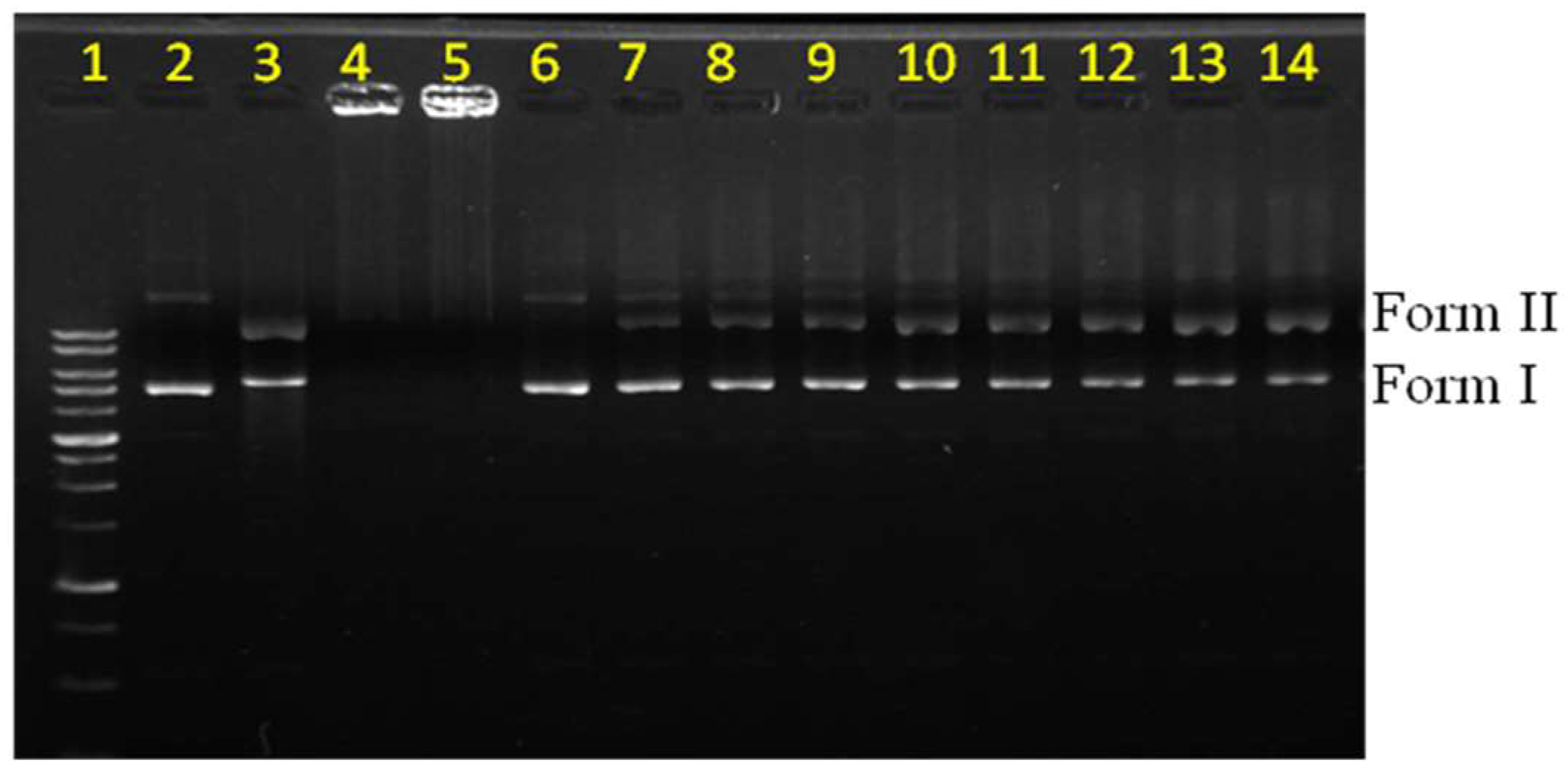 Pharmaceutics 10 00258 g002