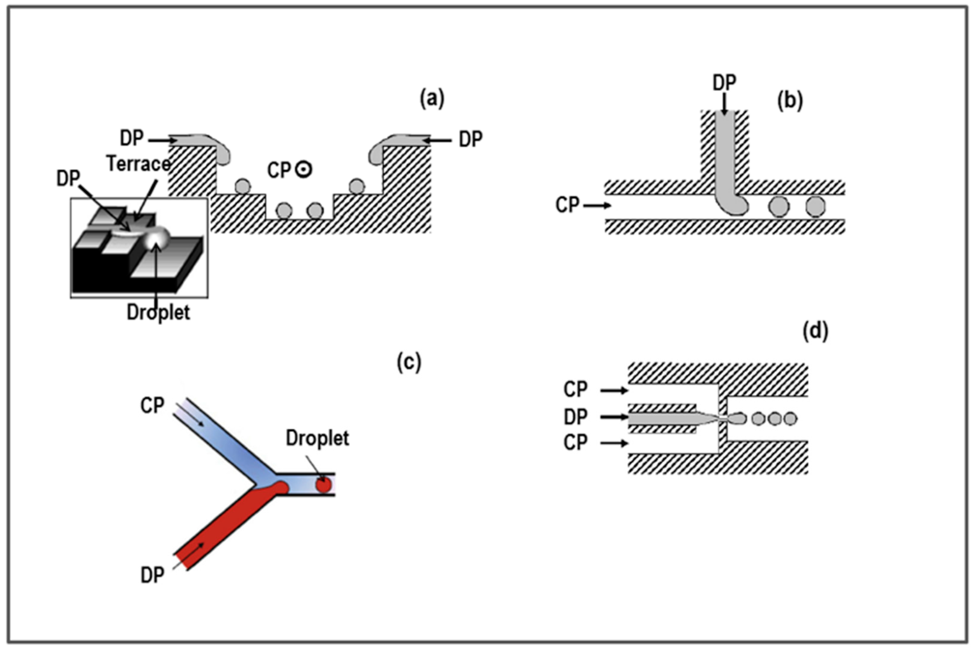 Pharmaceutics 10 00267 g001