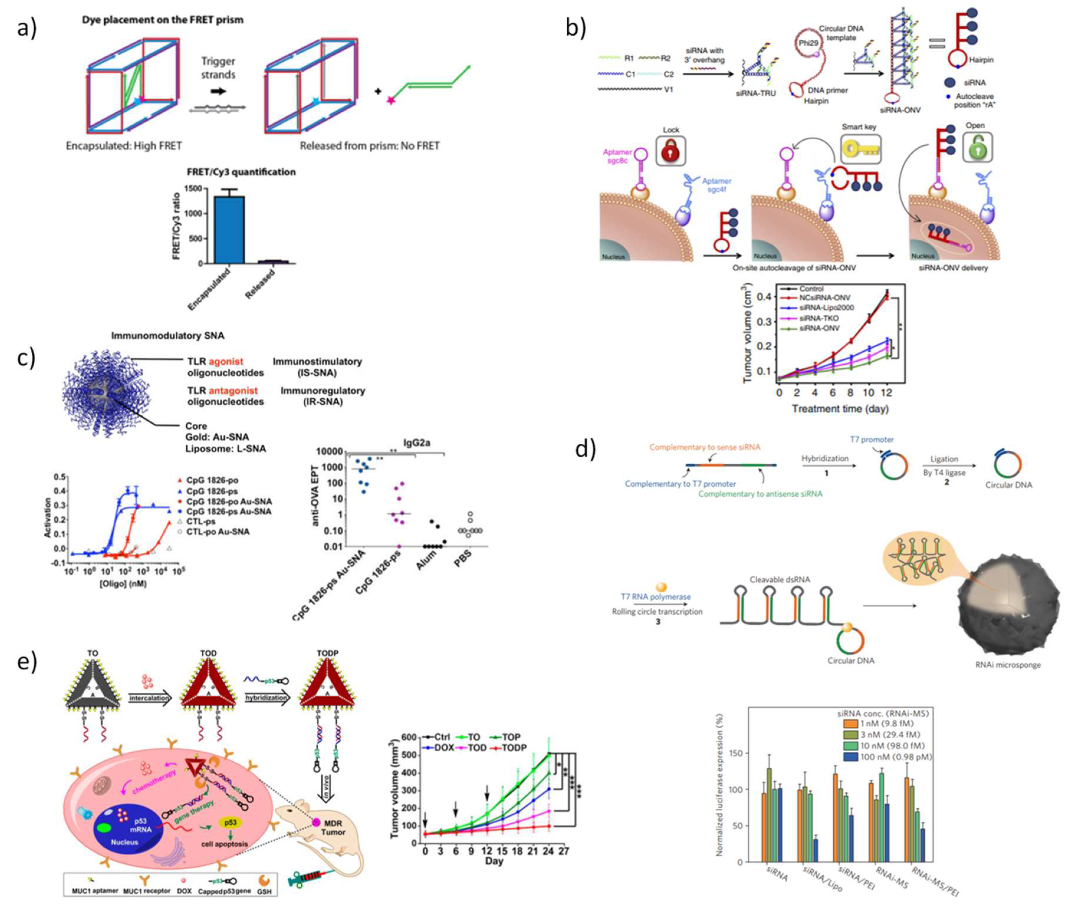 Pharmaceutics 10 00268 g006