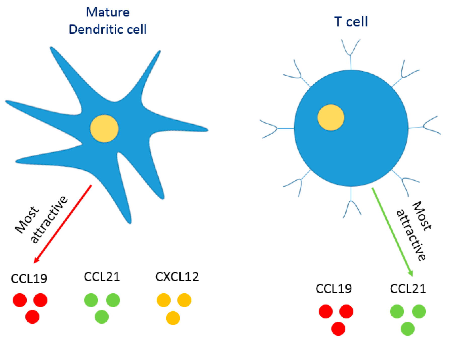 Pharmaceutics 10 00278 g003
