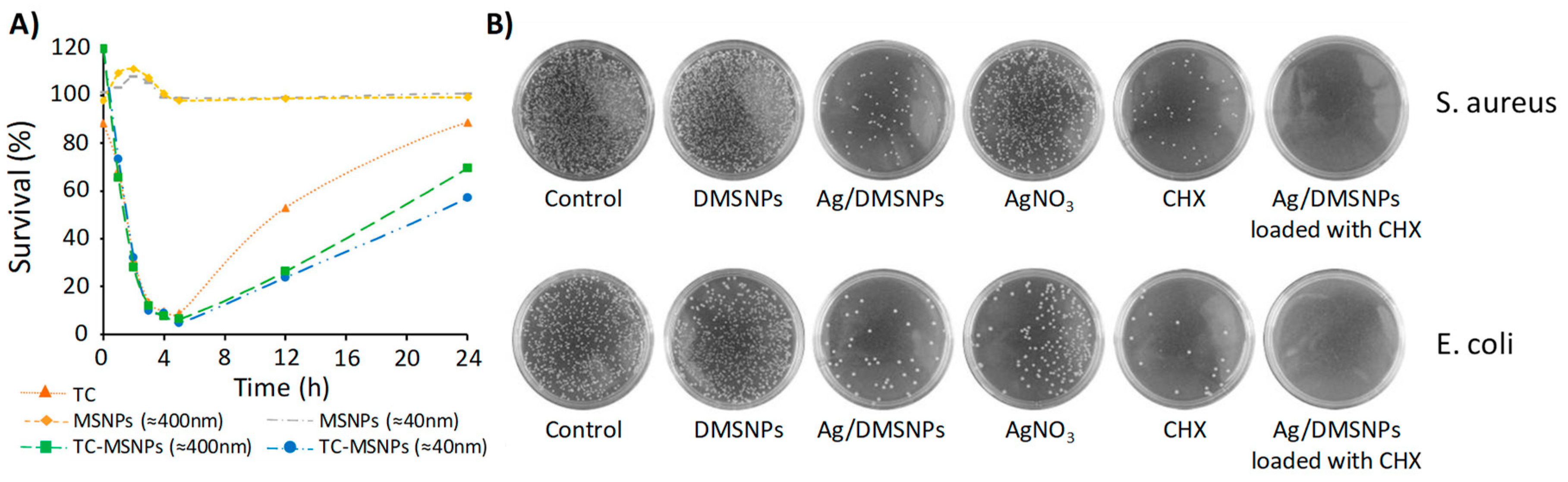 Pharmaceutics 10 00279 g003