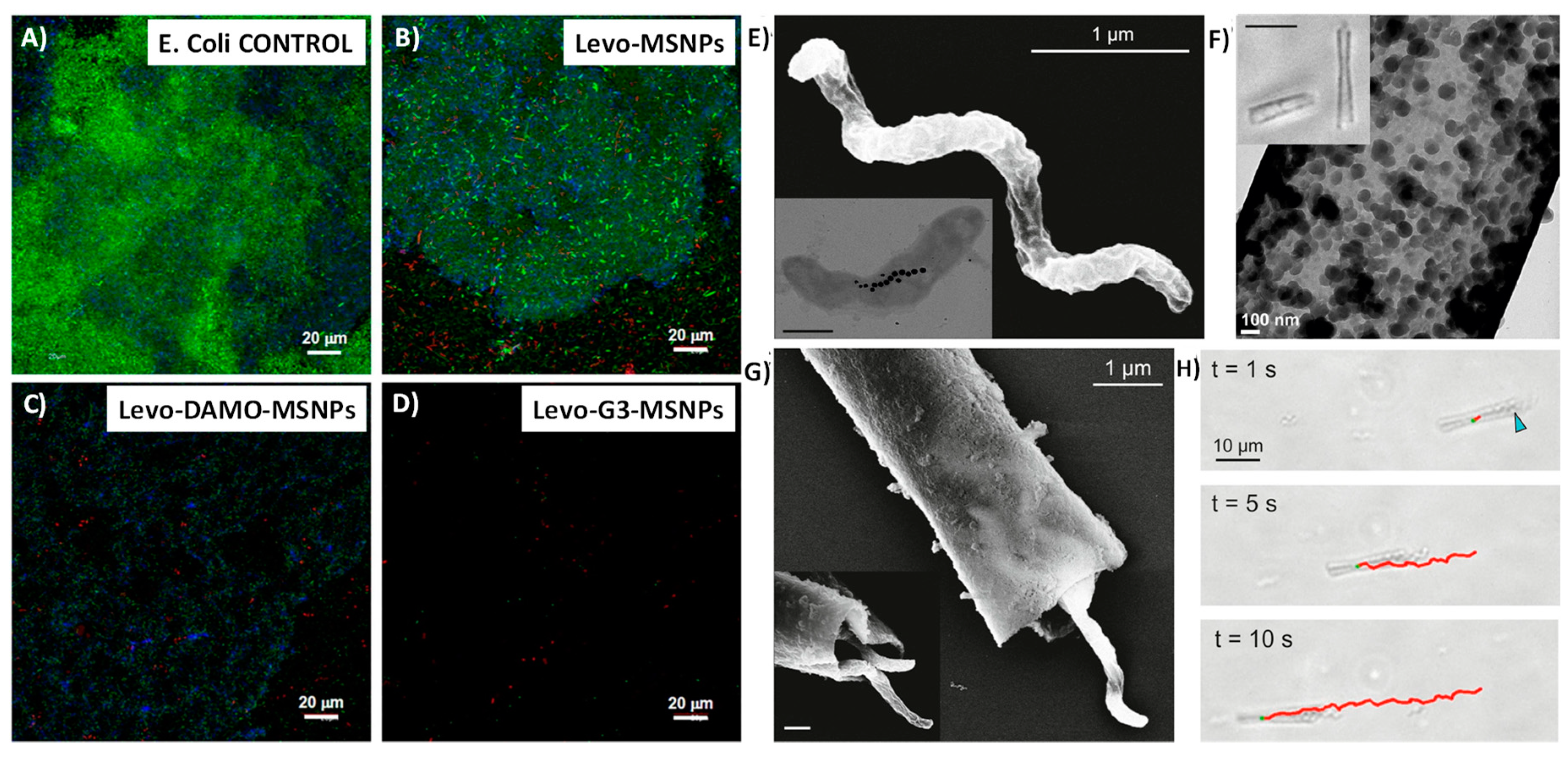 Pharmaceutics 10 00279 g010