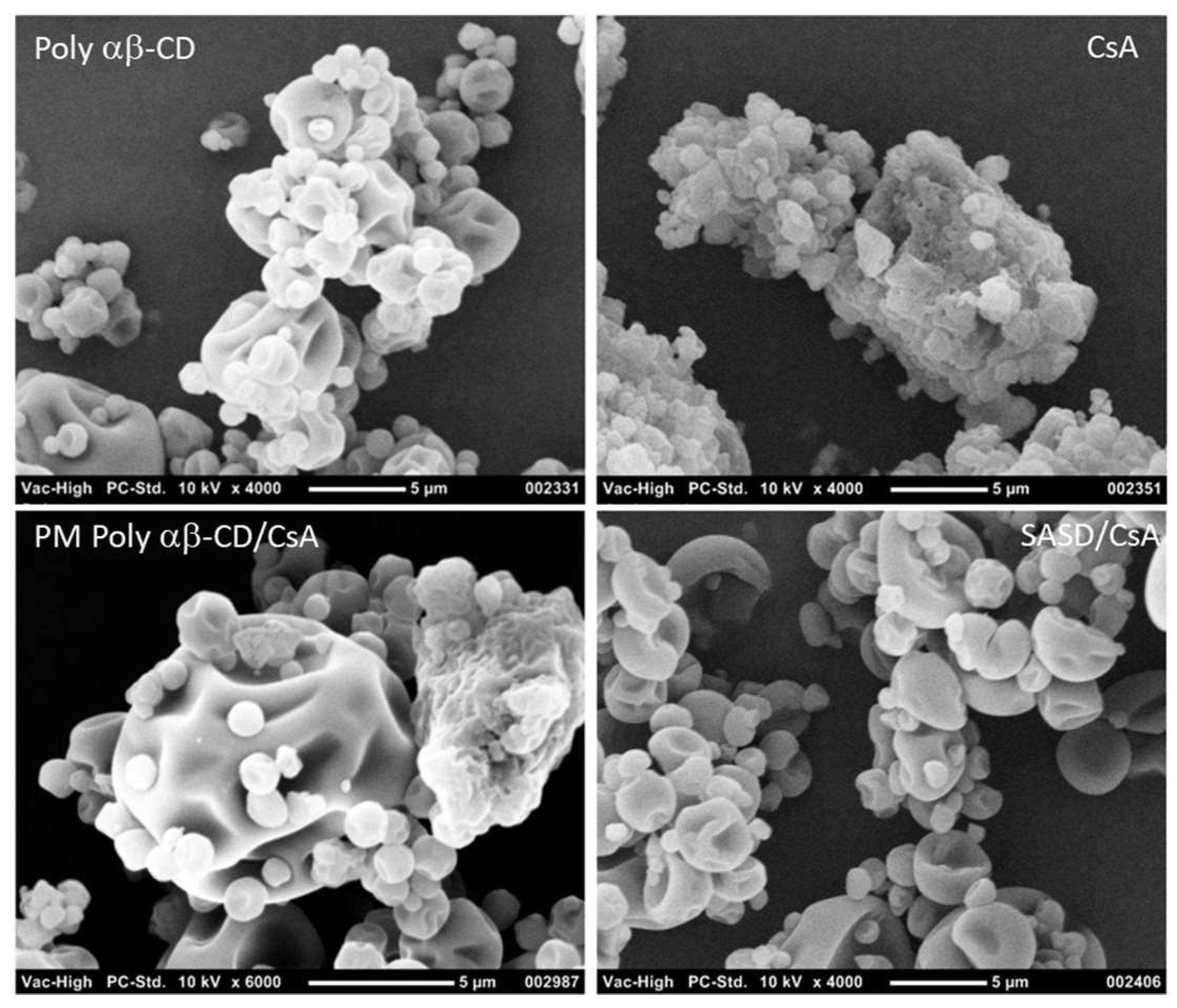 Pharmaceutics 10 00285 g001