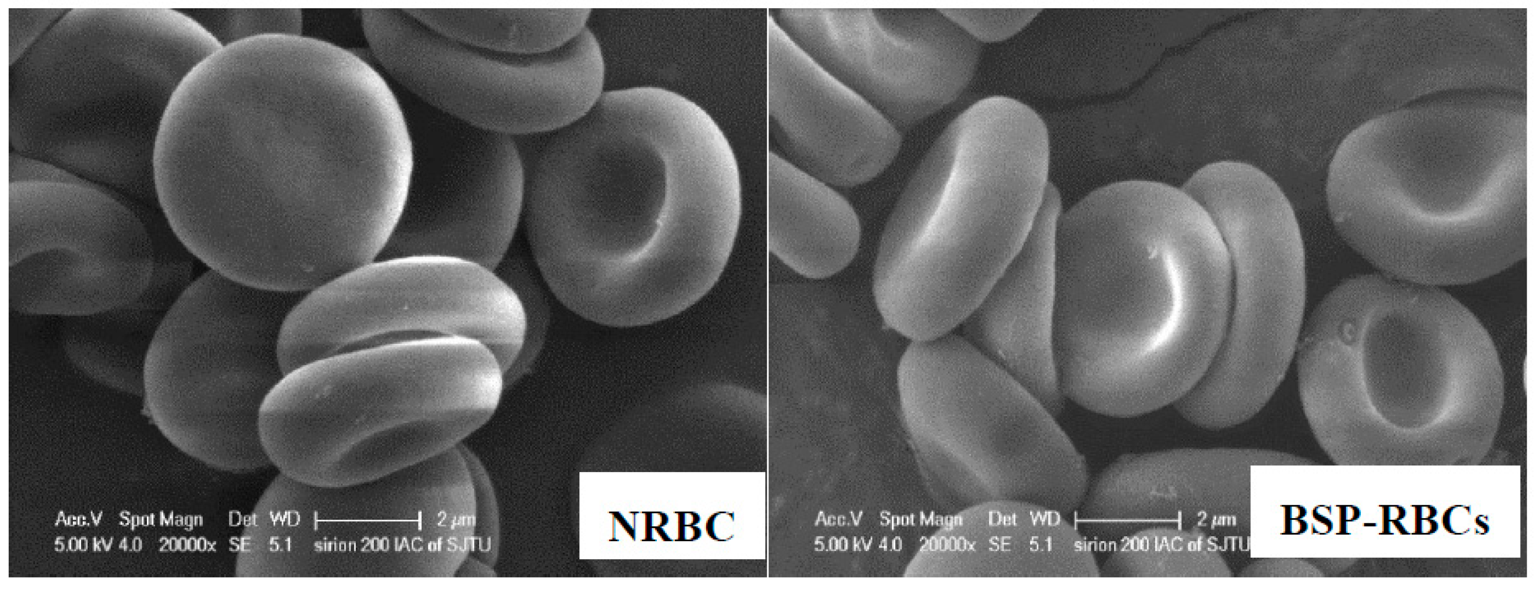 Pharmaceutics 10 00286 g002