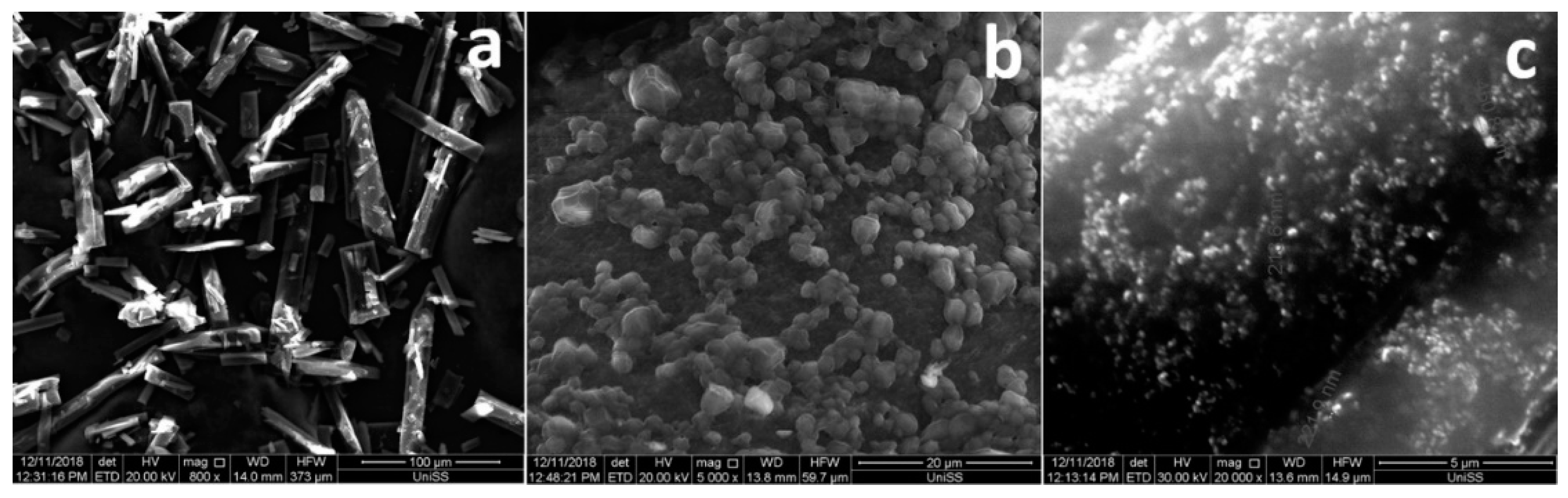 Pharmaceutics 11 00008 g006 Pharmaceutics 11 00008 g006